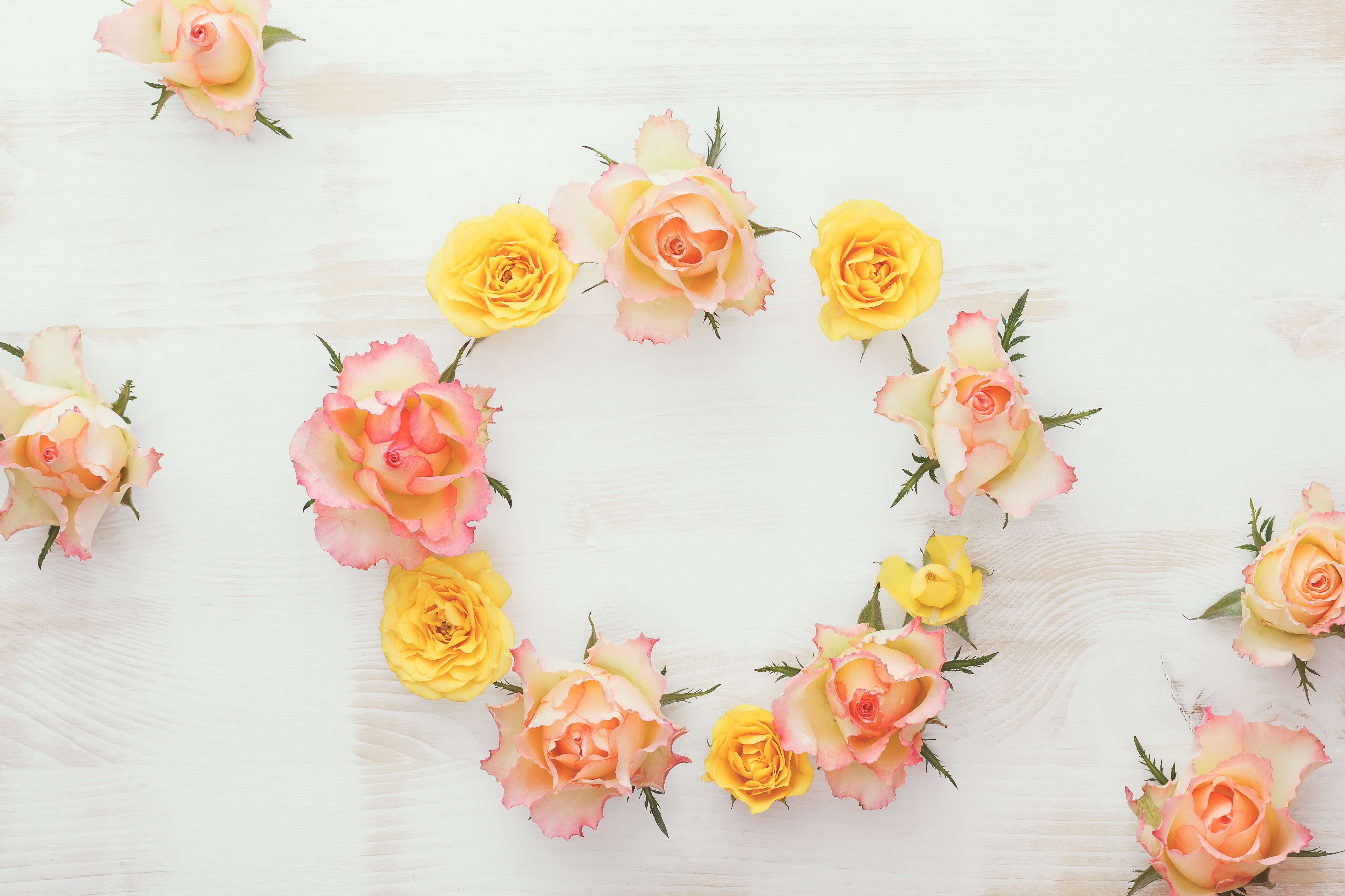 Roses Design 4K HD Wallpaper