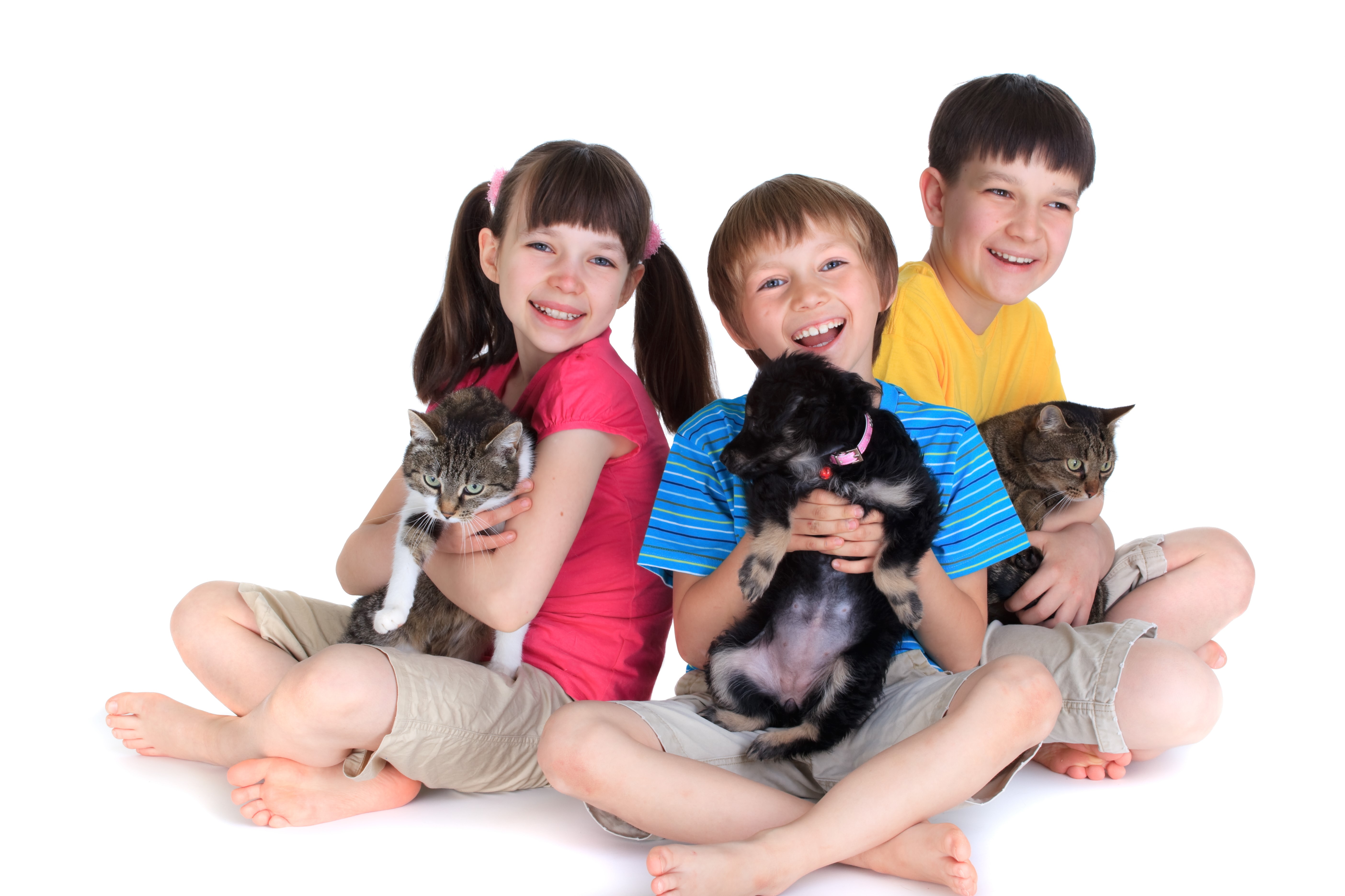 Three children with cats and a puppy on a white background HD Wallpaper