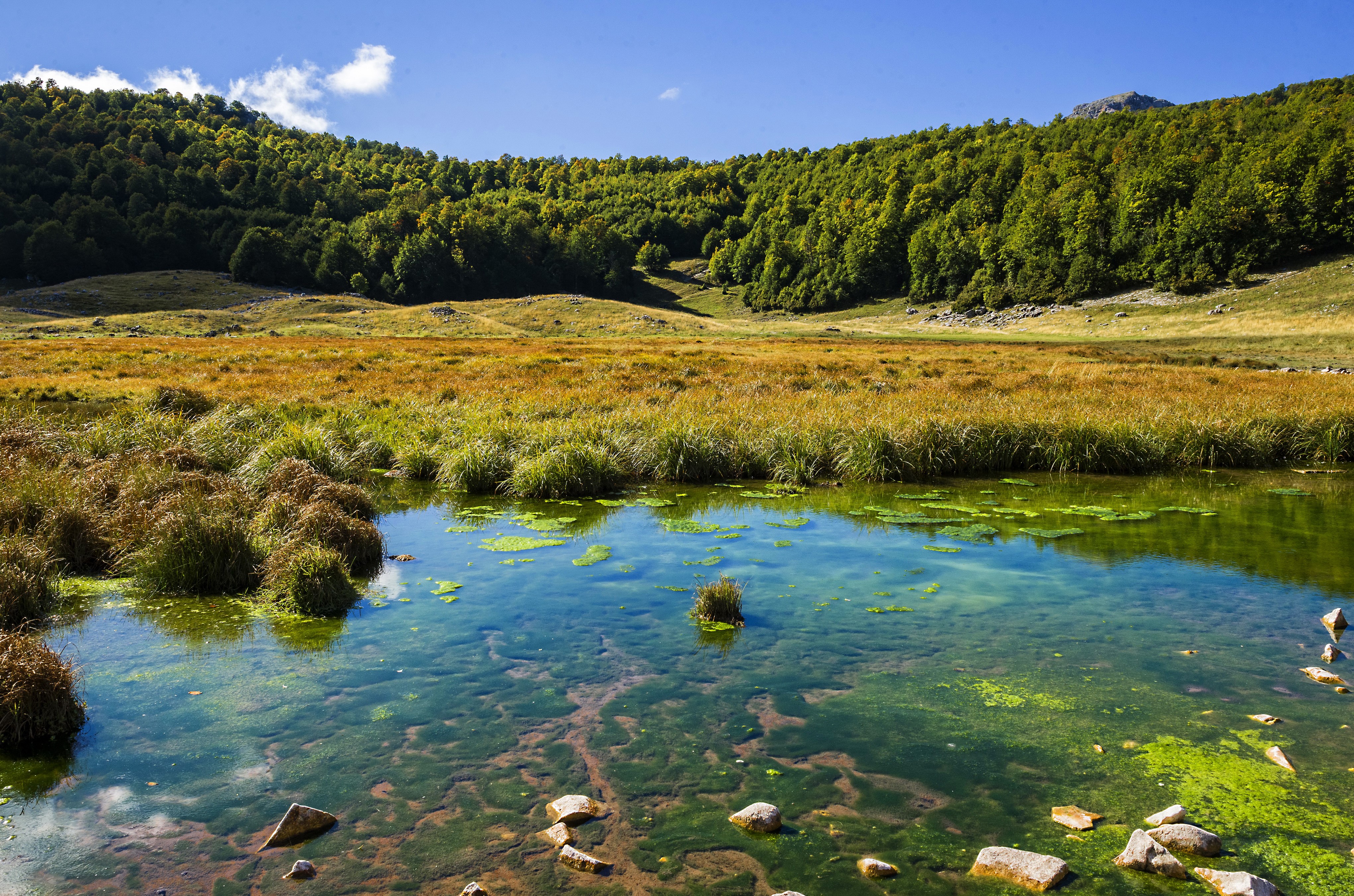 Lake Barrea in Italy with Forests and Grass HD Wallpaper