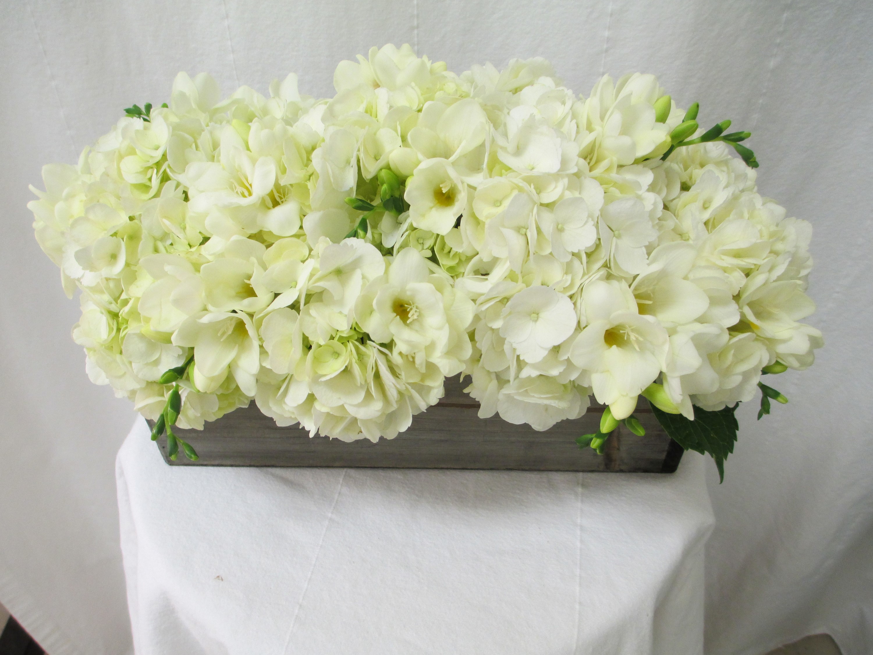 White Freesia and Hydrangea floral arrangement in a wooden box HD Wallpaper