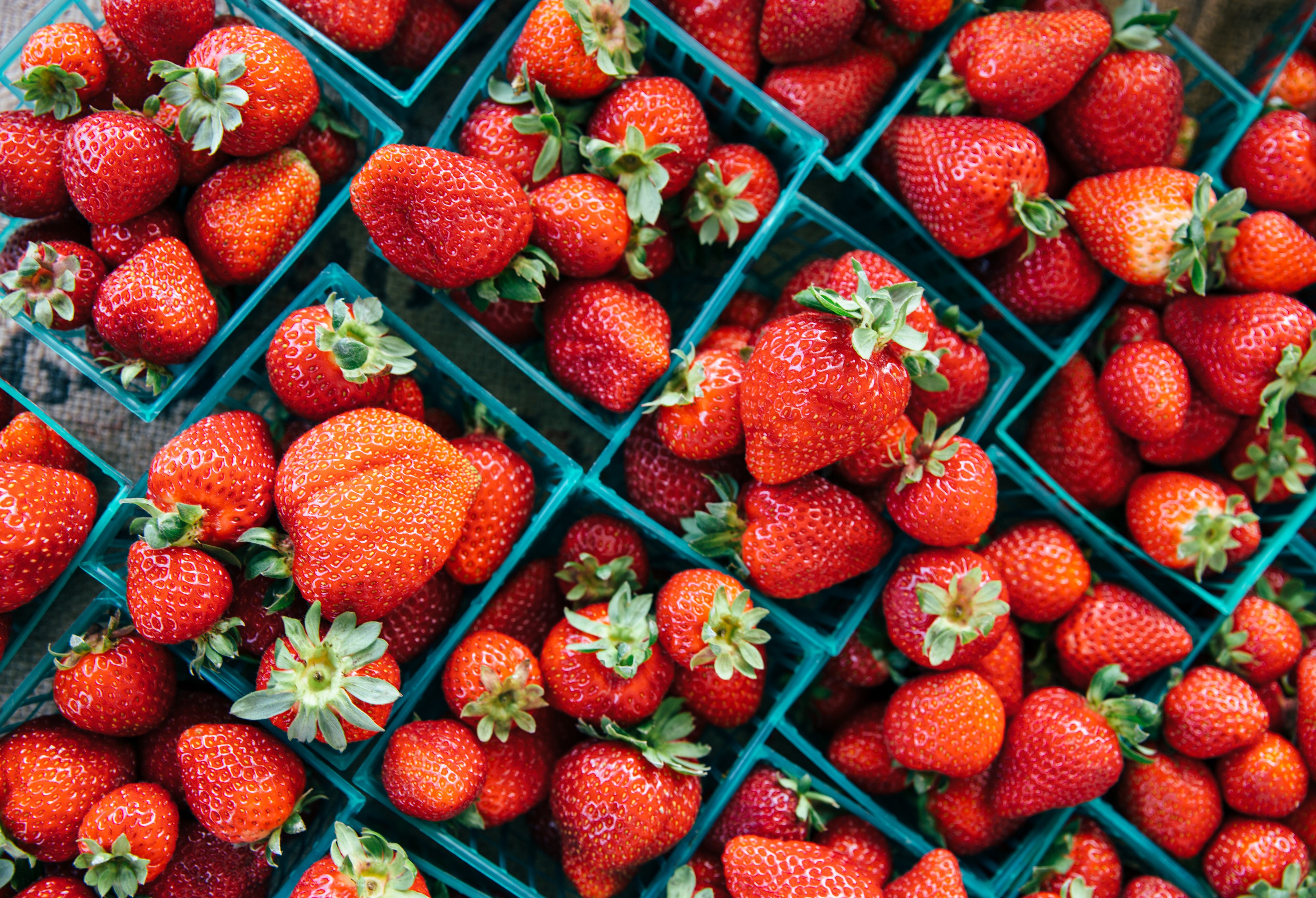 Many Strawberries in Teal Baskets HD Wallpaper