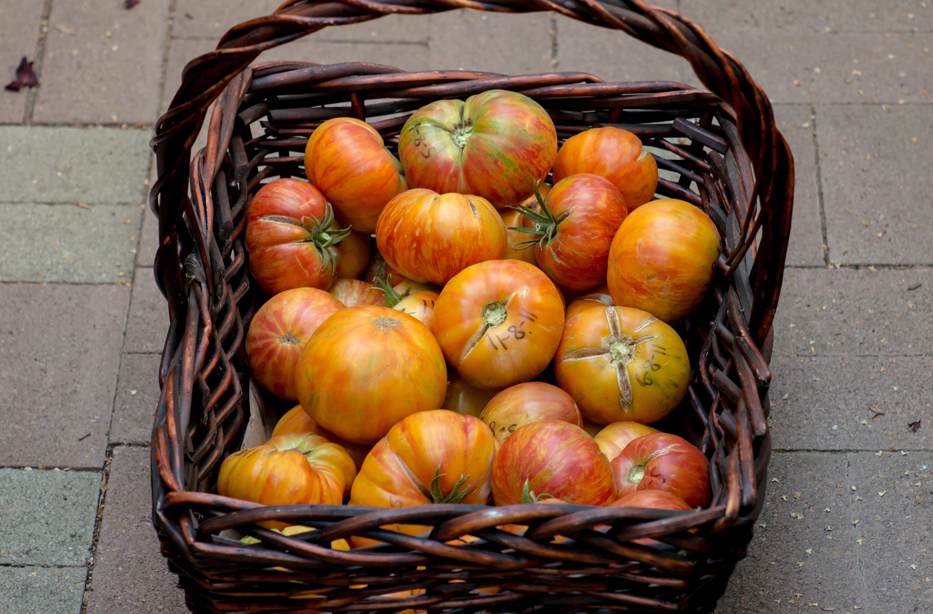 Heirloom tomatoes in a wicker basket HD Wallpaper