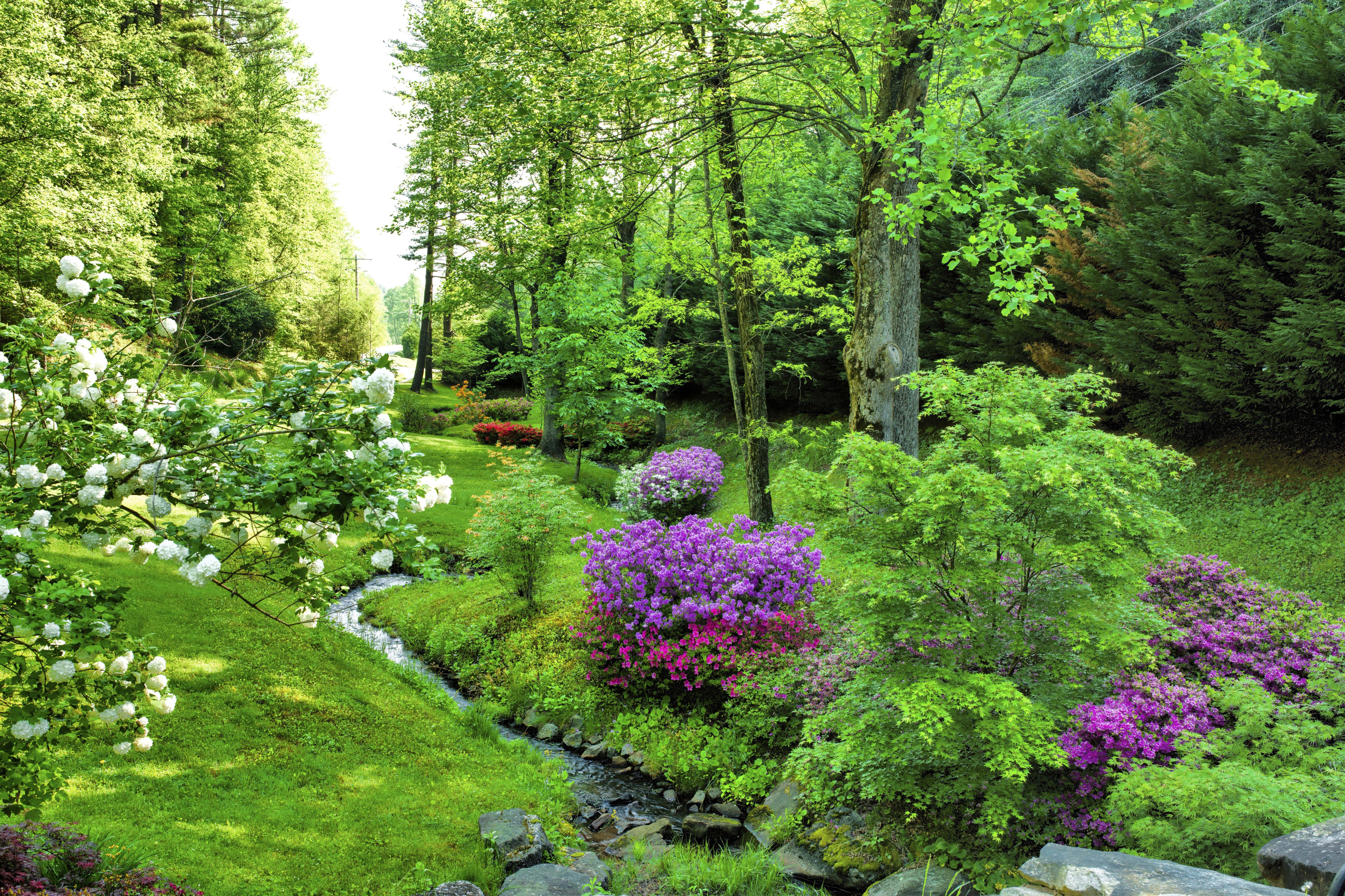 Park with trees and stream in North Carolina, USA HD Wallpaper