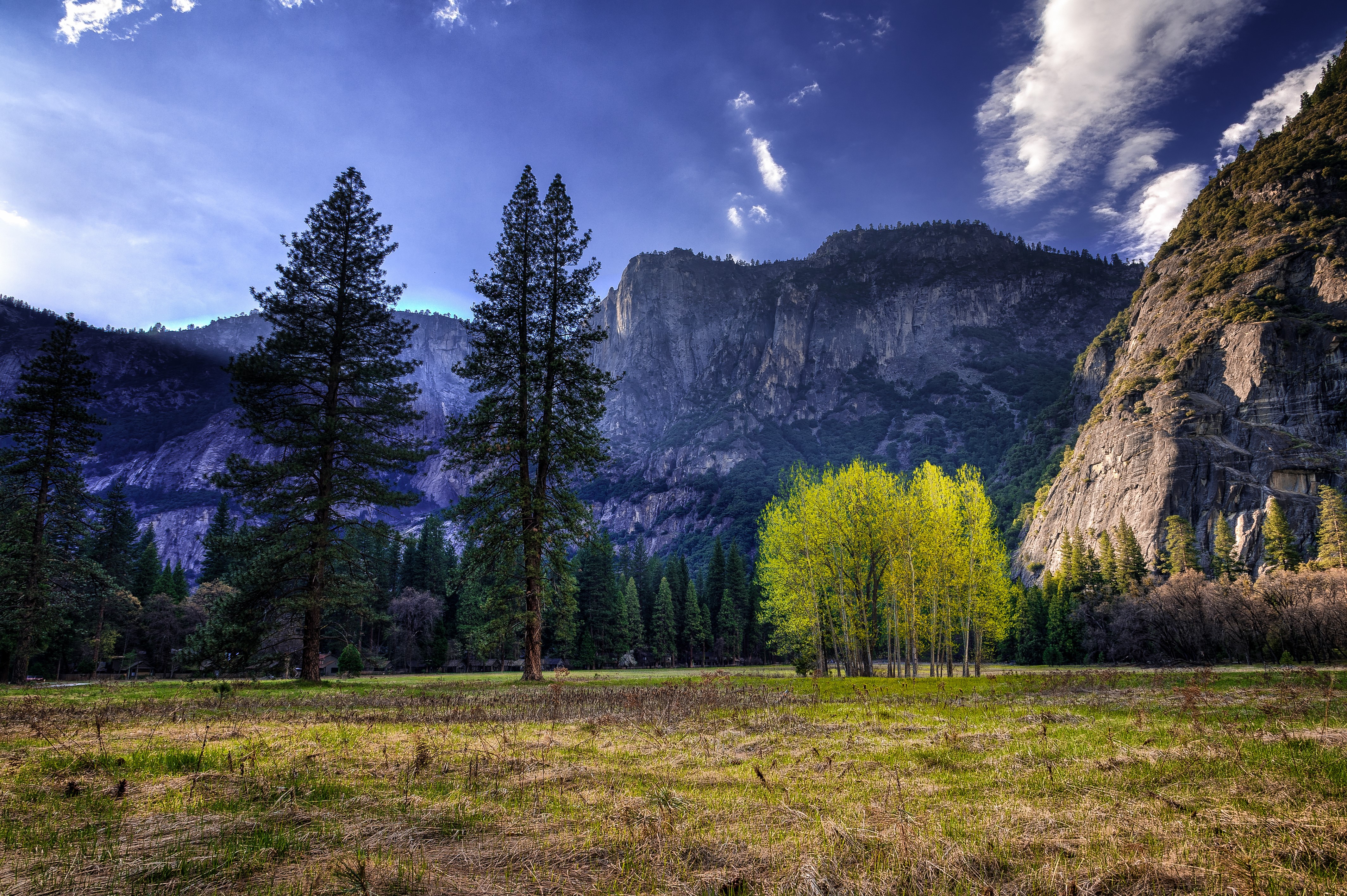 Yosemite National Park Mountains and Trees HD Wallpaper