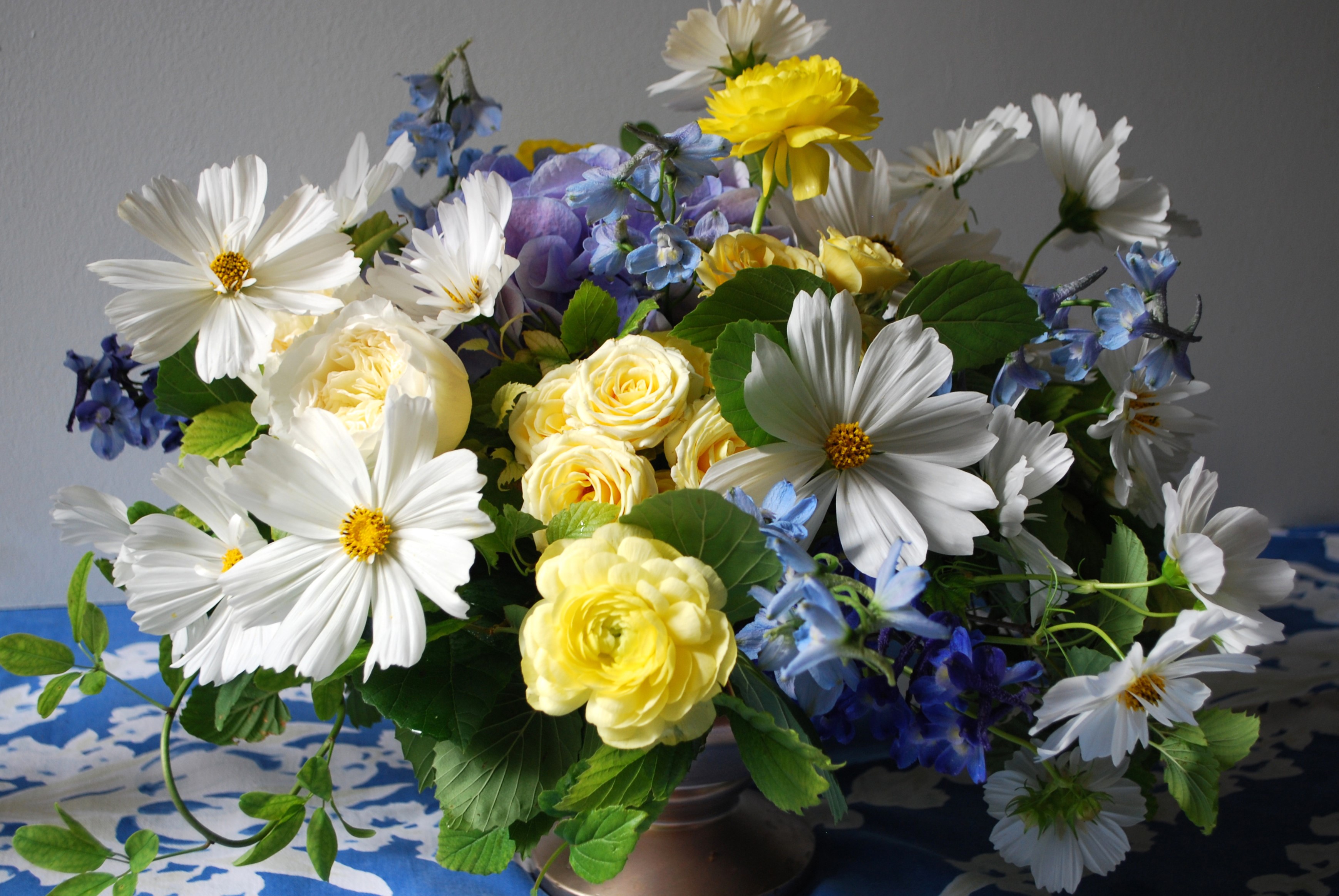 Bouquet of white cosmos, yellow roses, and blue delphiniums HD Wallpaper