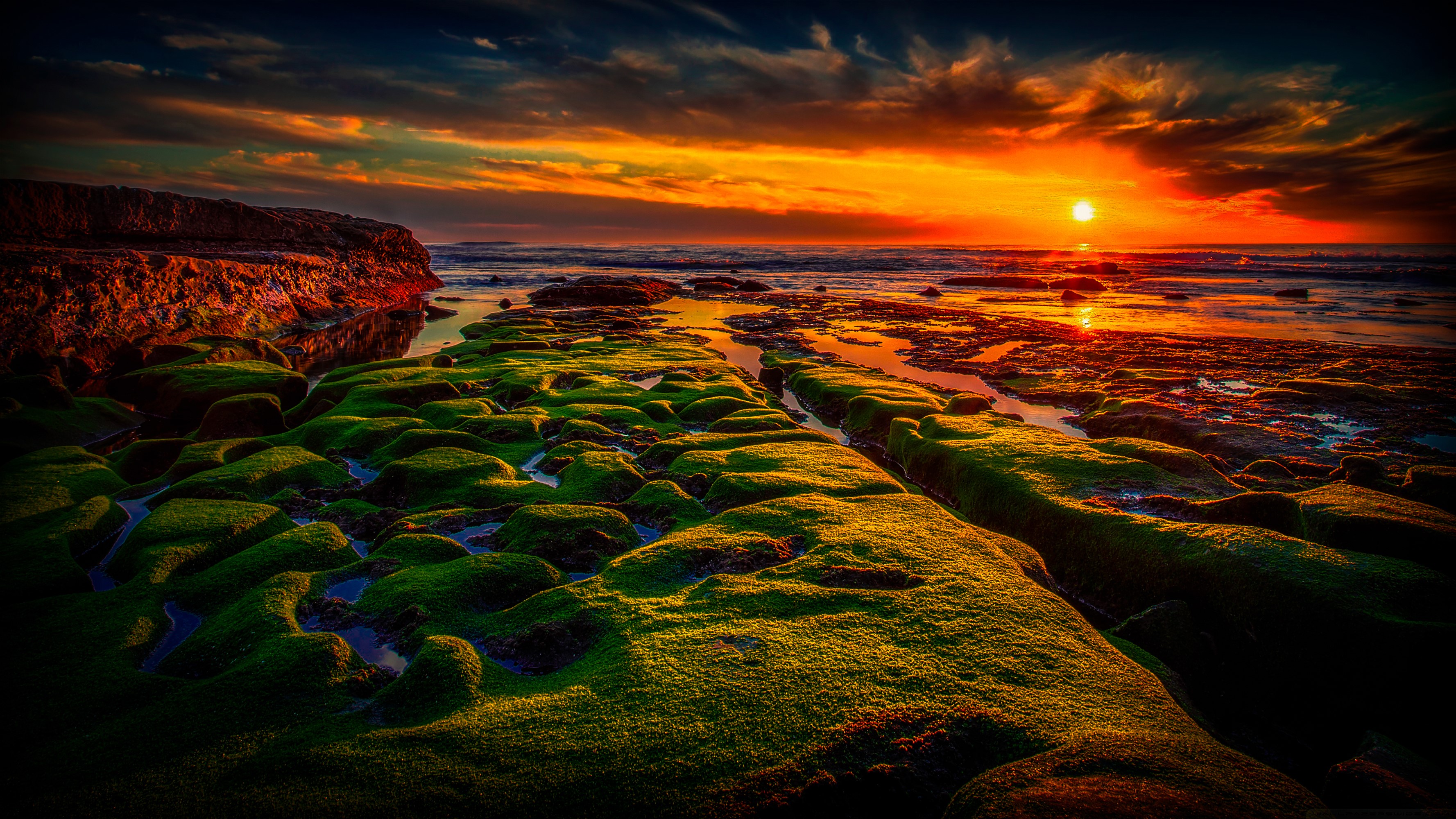 Mossy rocks on a beach at sunset HD Wallpaper