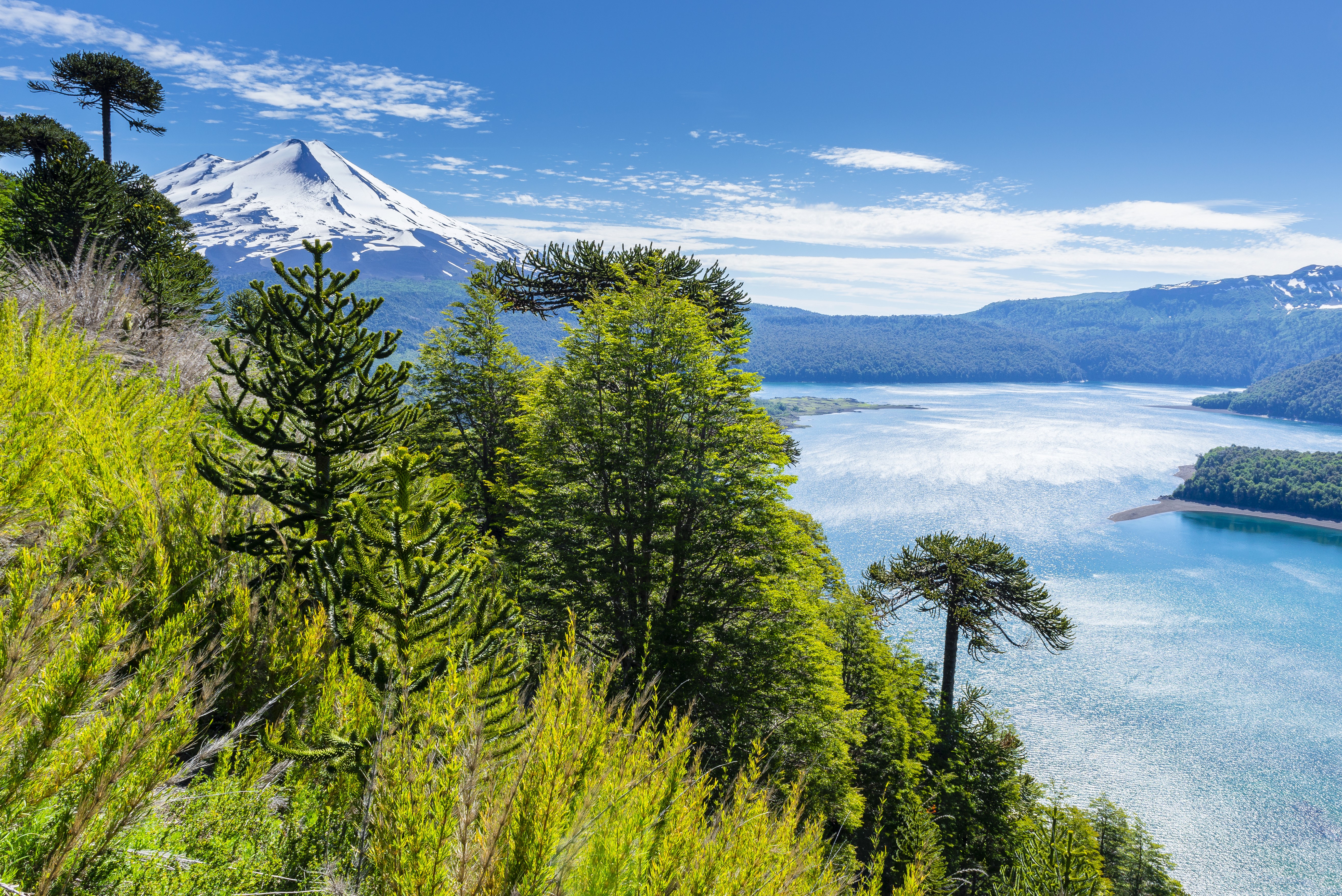 Conguillio National Park Chile with Volcano and Lake HD Wallpaper