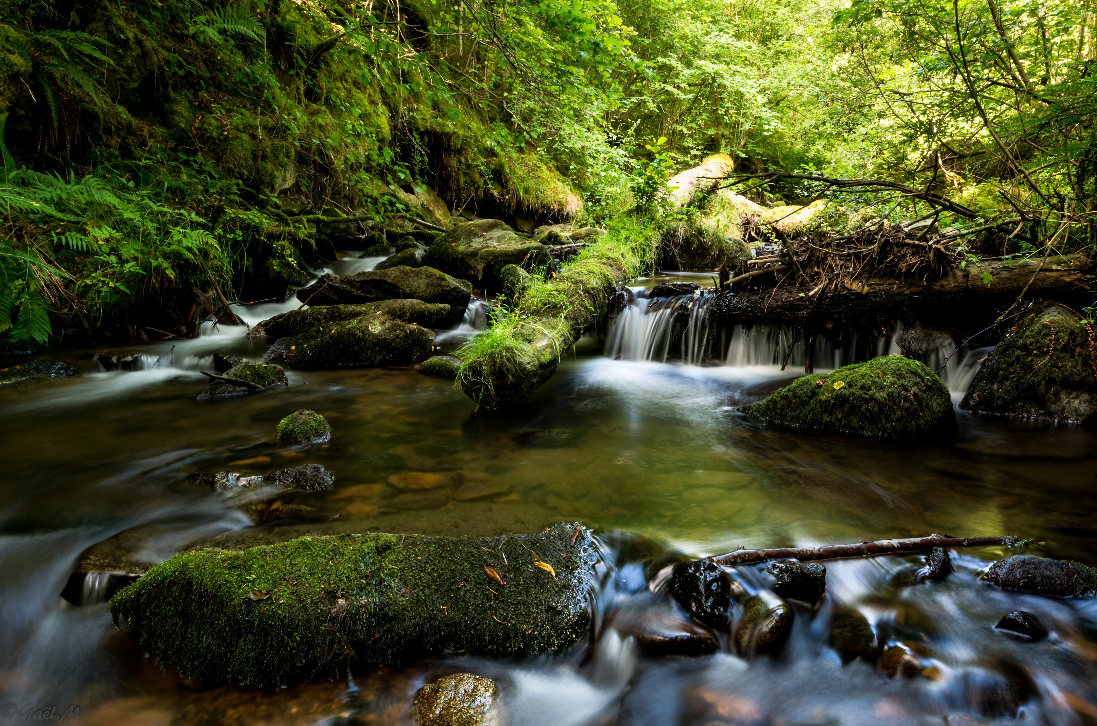 Mossy rocks and fallen log in a forest stream HD Wallpaper