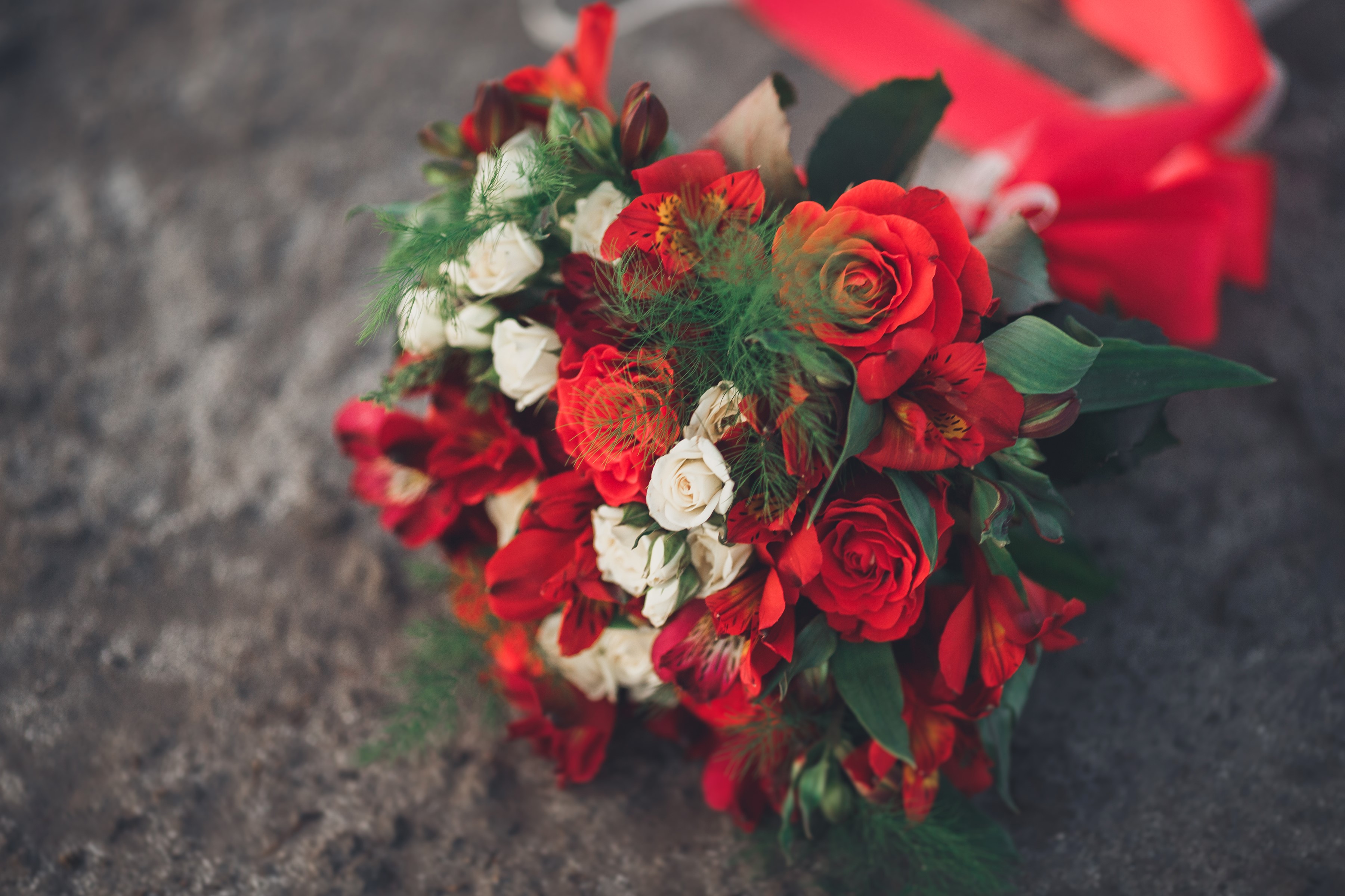 Red and white rose and alstroemeria bouquet with red ribbon HD Wallpaper