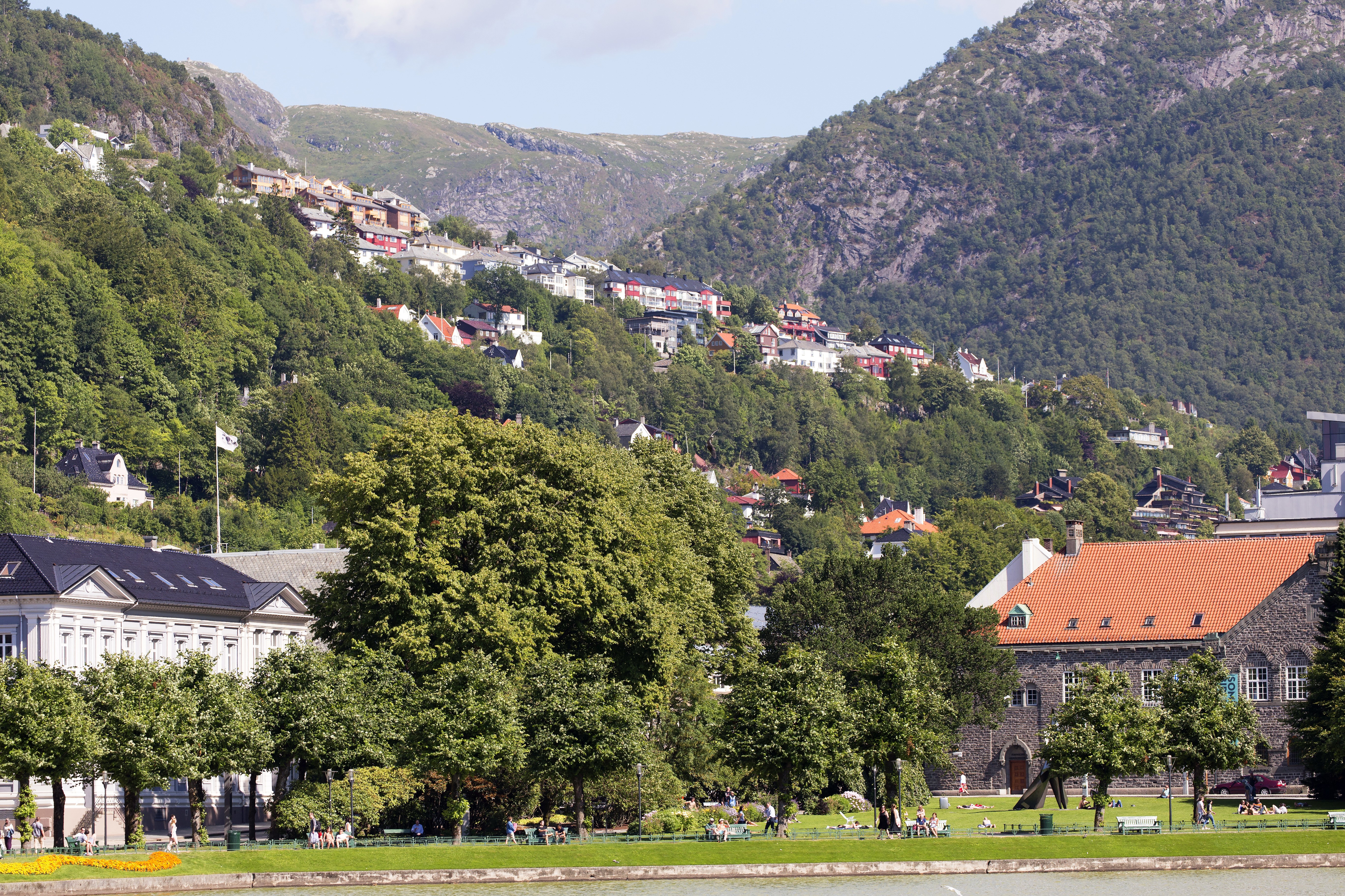 Bergen, Norway Houses on a Hillside HD Wallpaper