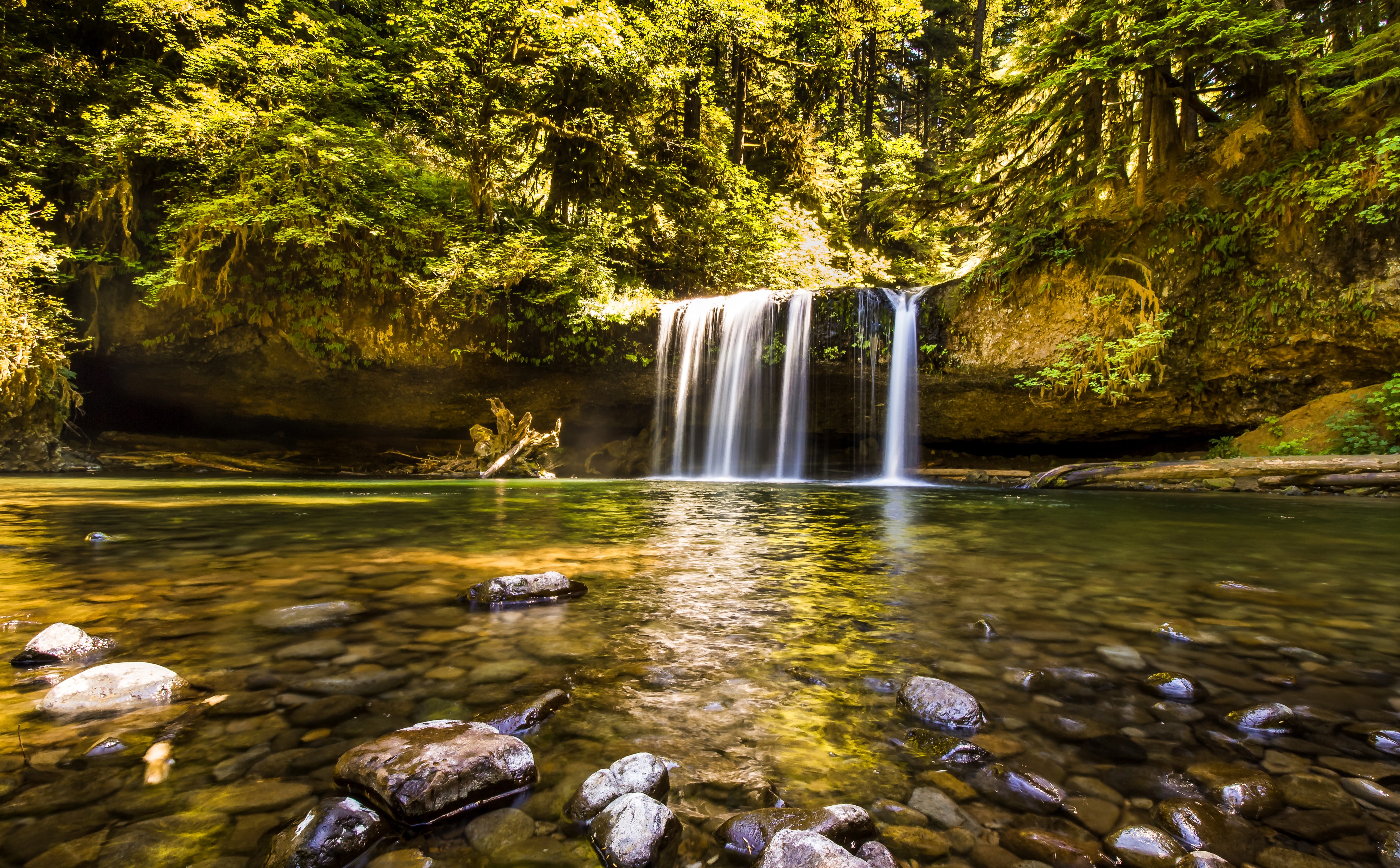 Butte Creek Falls Oregon USA HD Wallpaper