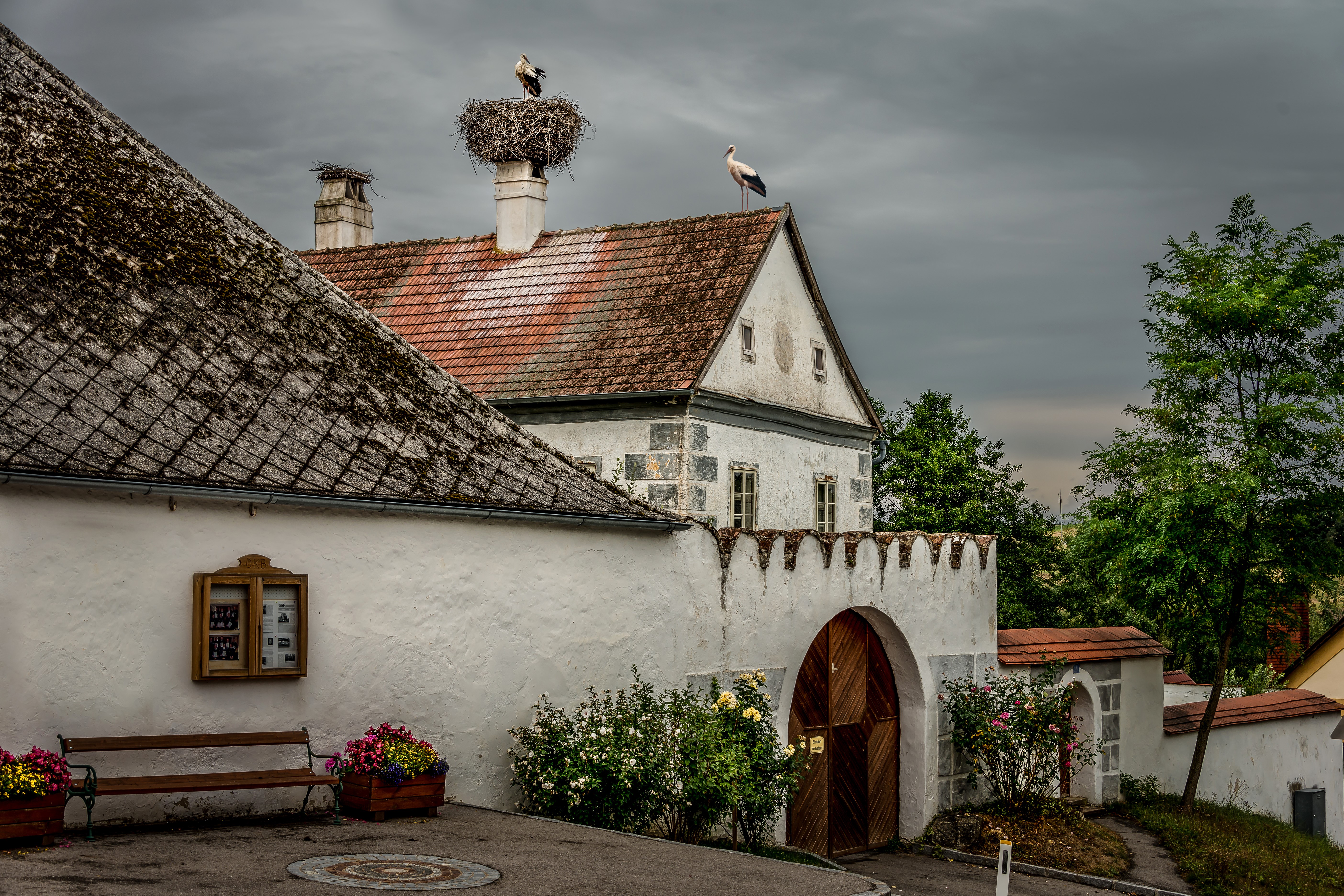 Storks on a building in Friedersbach, Austria HD Wallpaper