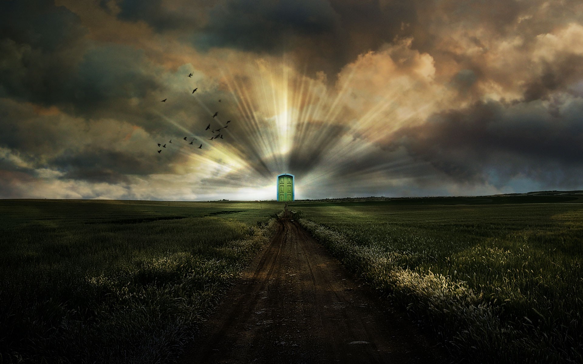 Green door in a field with dramatic sky HD Wallpaper