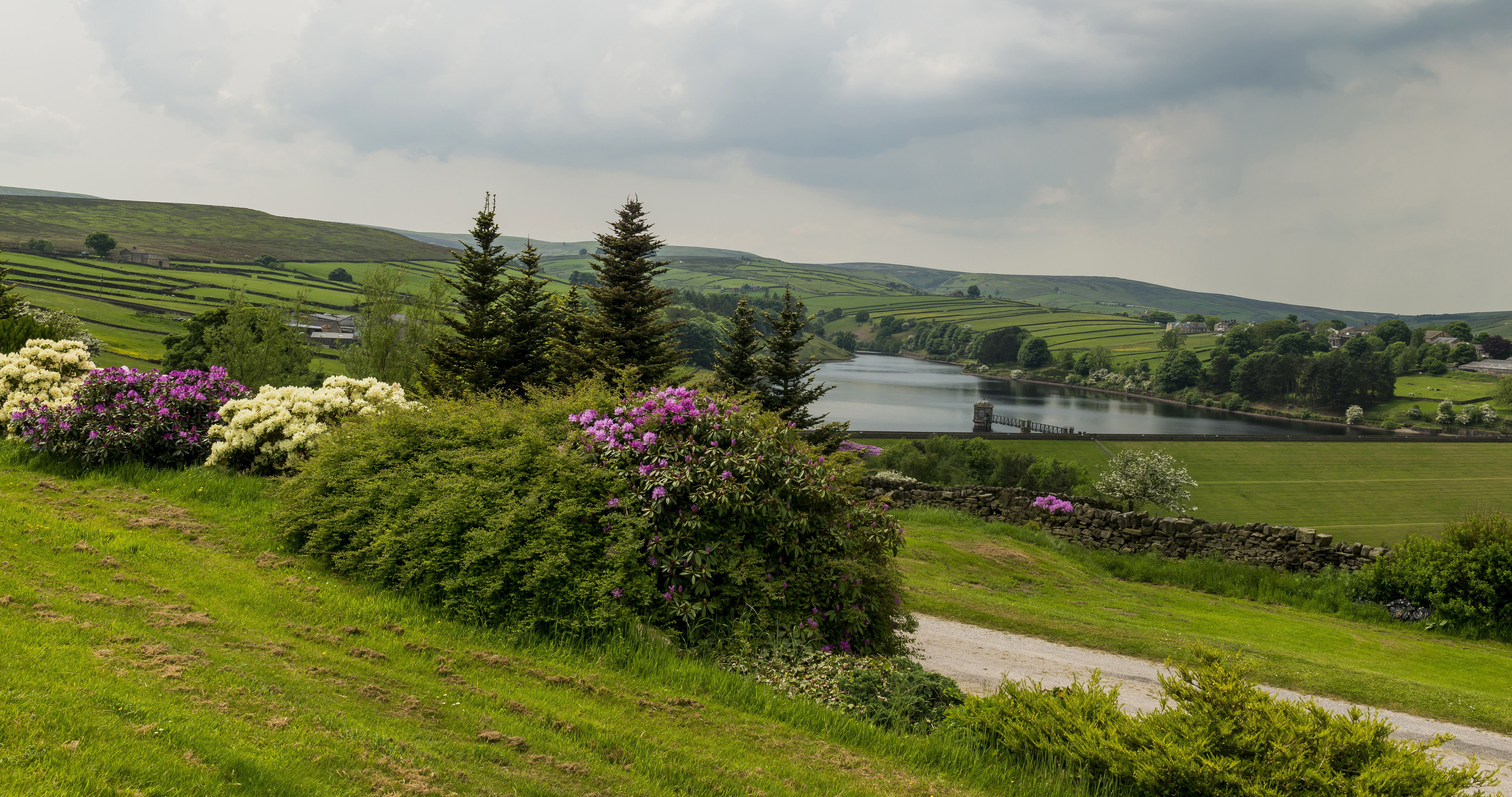 Rolling green hills with a reservoir and flowering shrubs HD Wallpaper