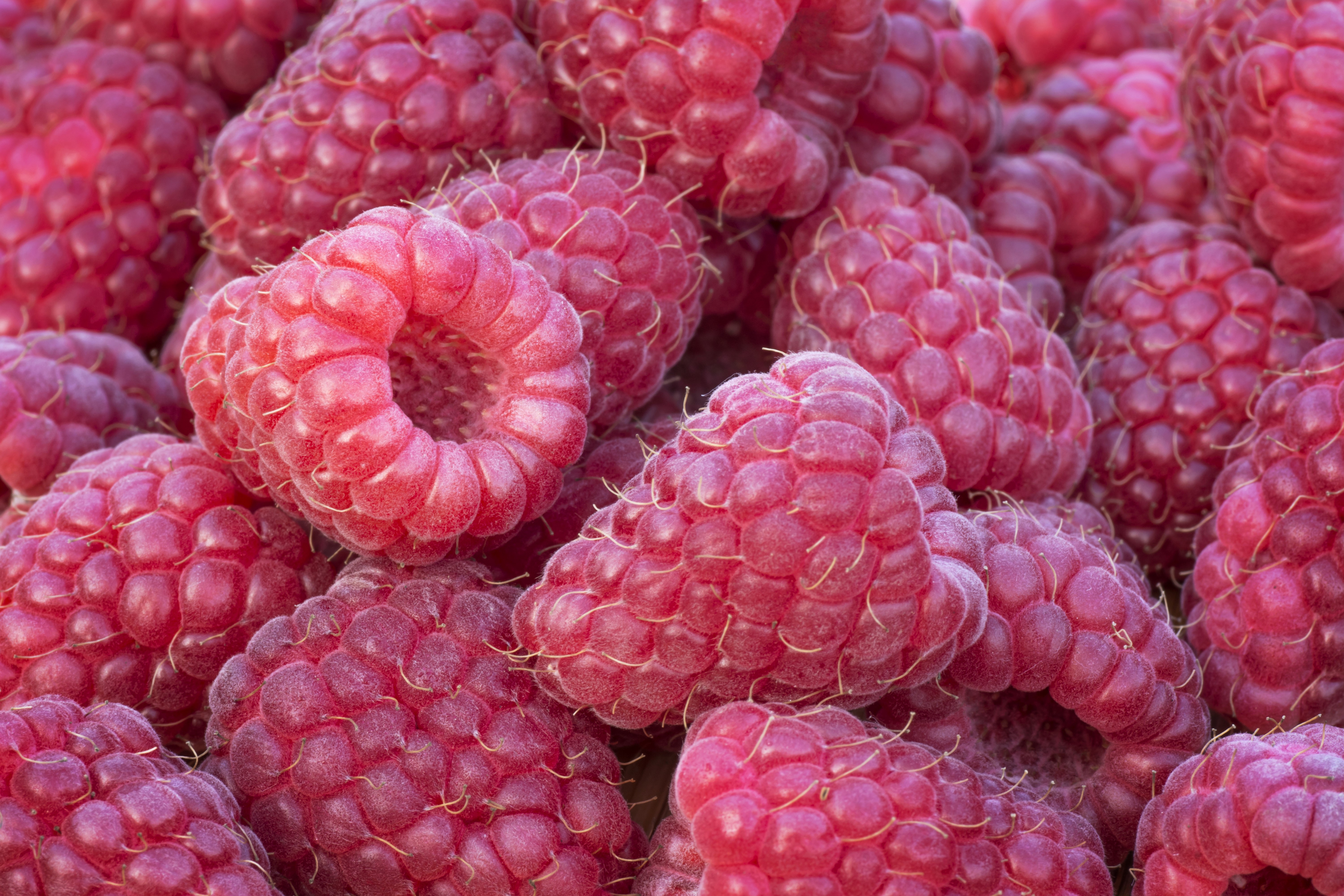 Raspberry closeup HD Wallpaper