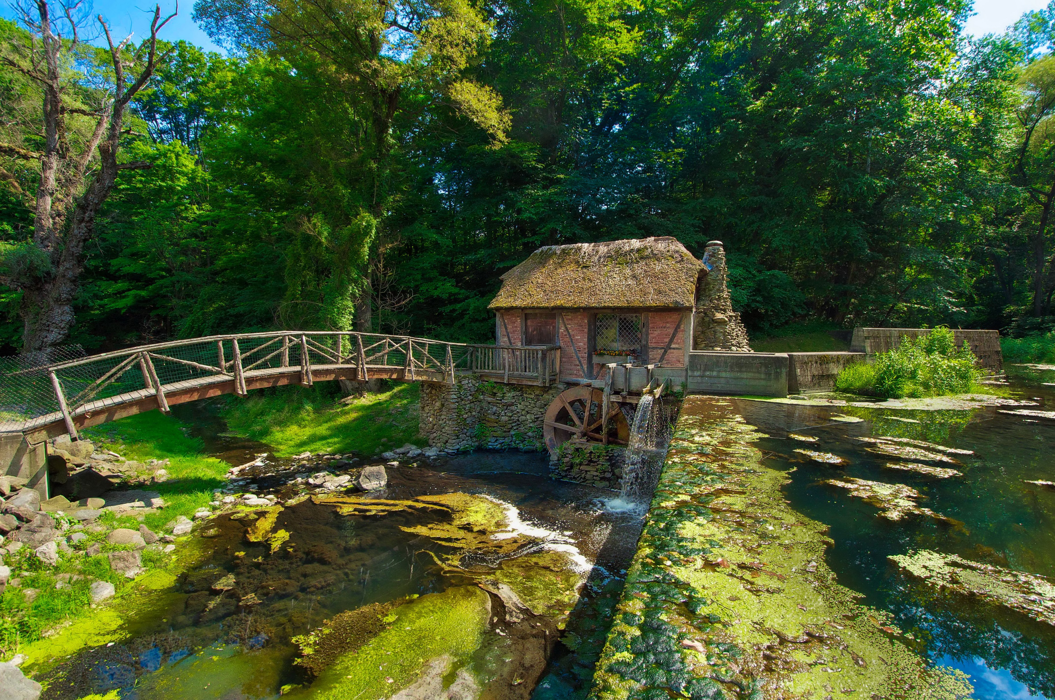 Watermill and bridge in a forest setting HD Wallpaper