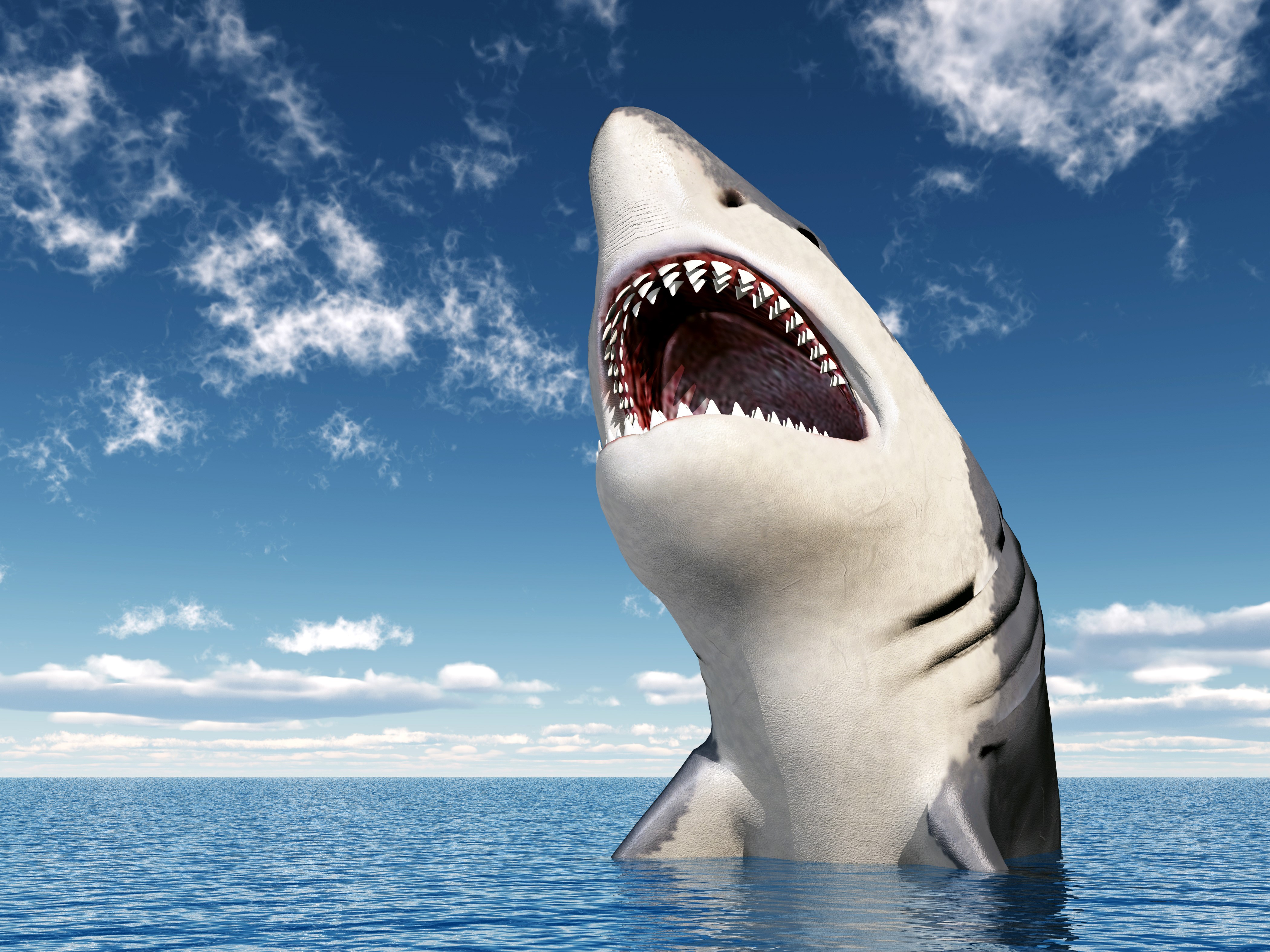 Great White Shark breaching from the sea HD Wallpaper