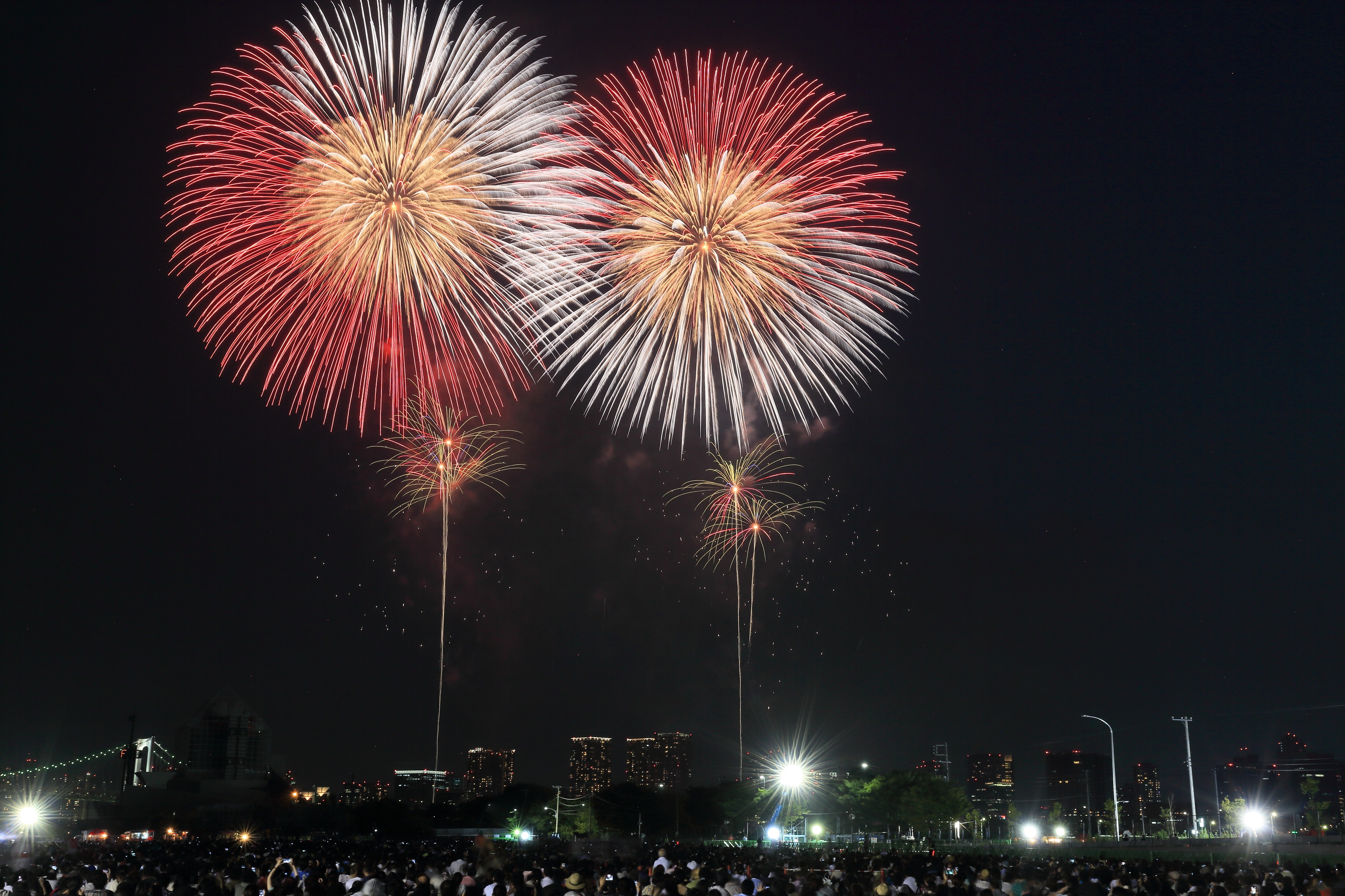 Fireworks over Tokyo at Night HD Wallpaper
