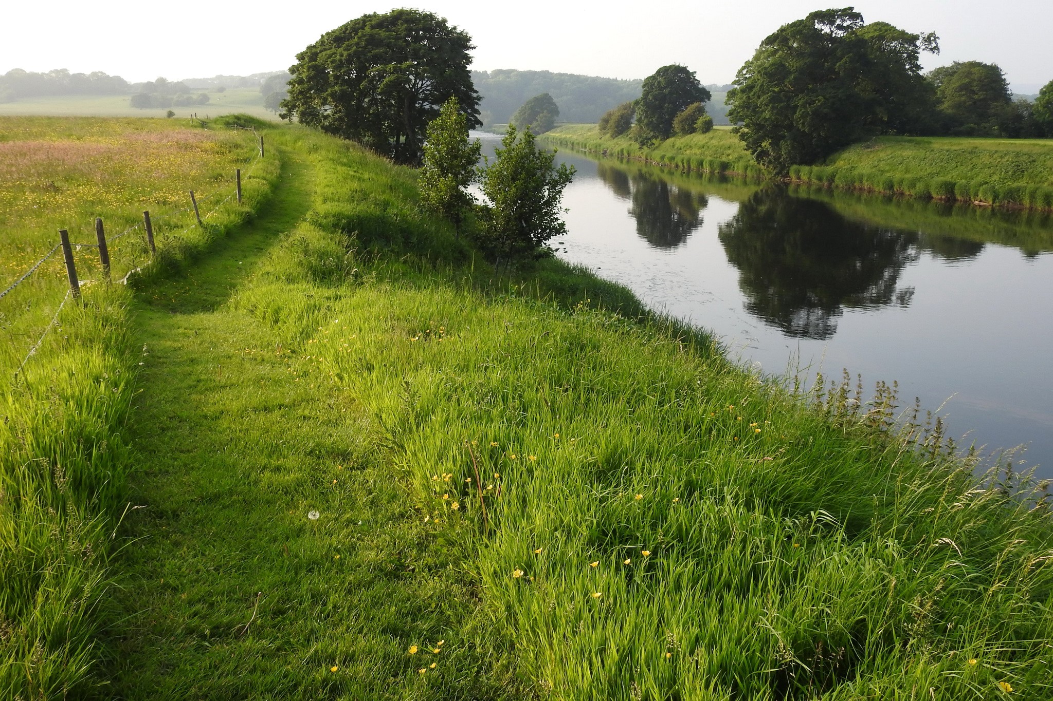 River Ribble, United Kingdom, Summer Landscape HD Wallpaper