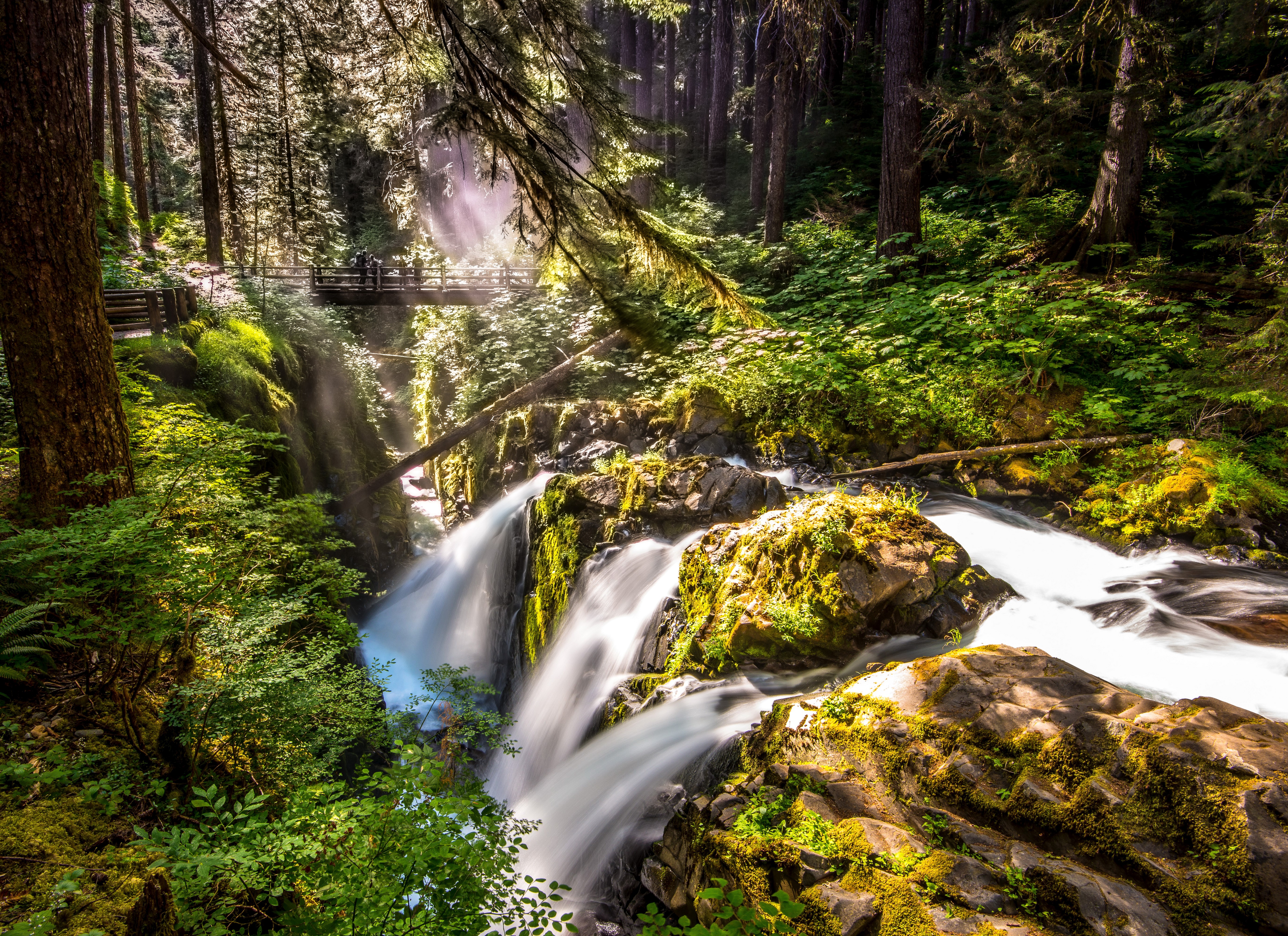 Sol Duc Falls Olympic National Park USA HD Wallpaper