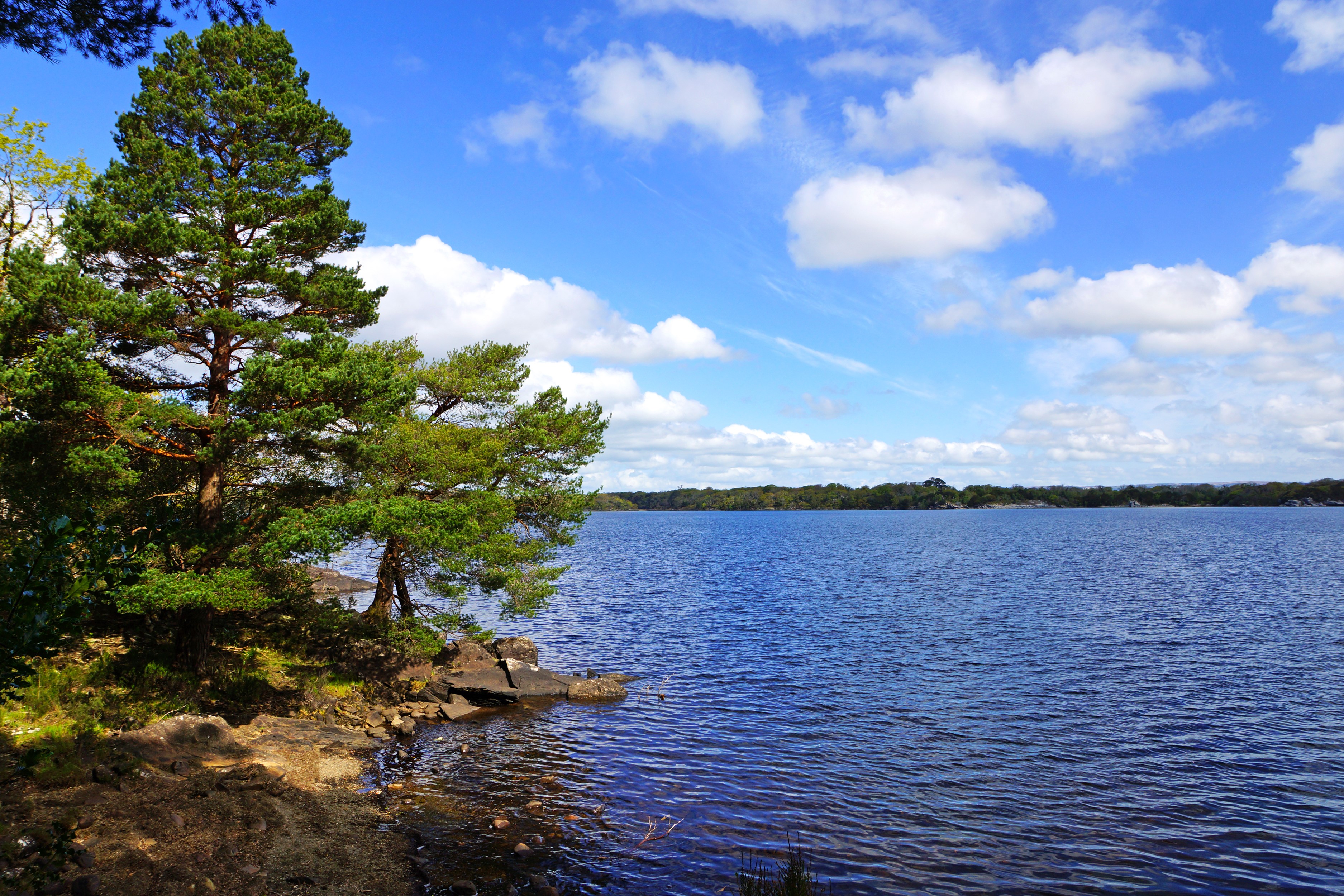 Muckross Lake in Kerry, Ireland with Trees and Clouds HD Wallpaper