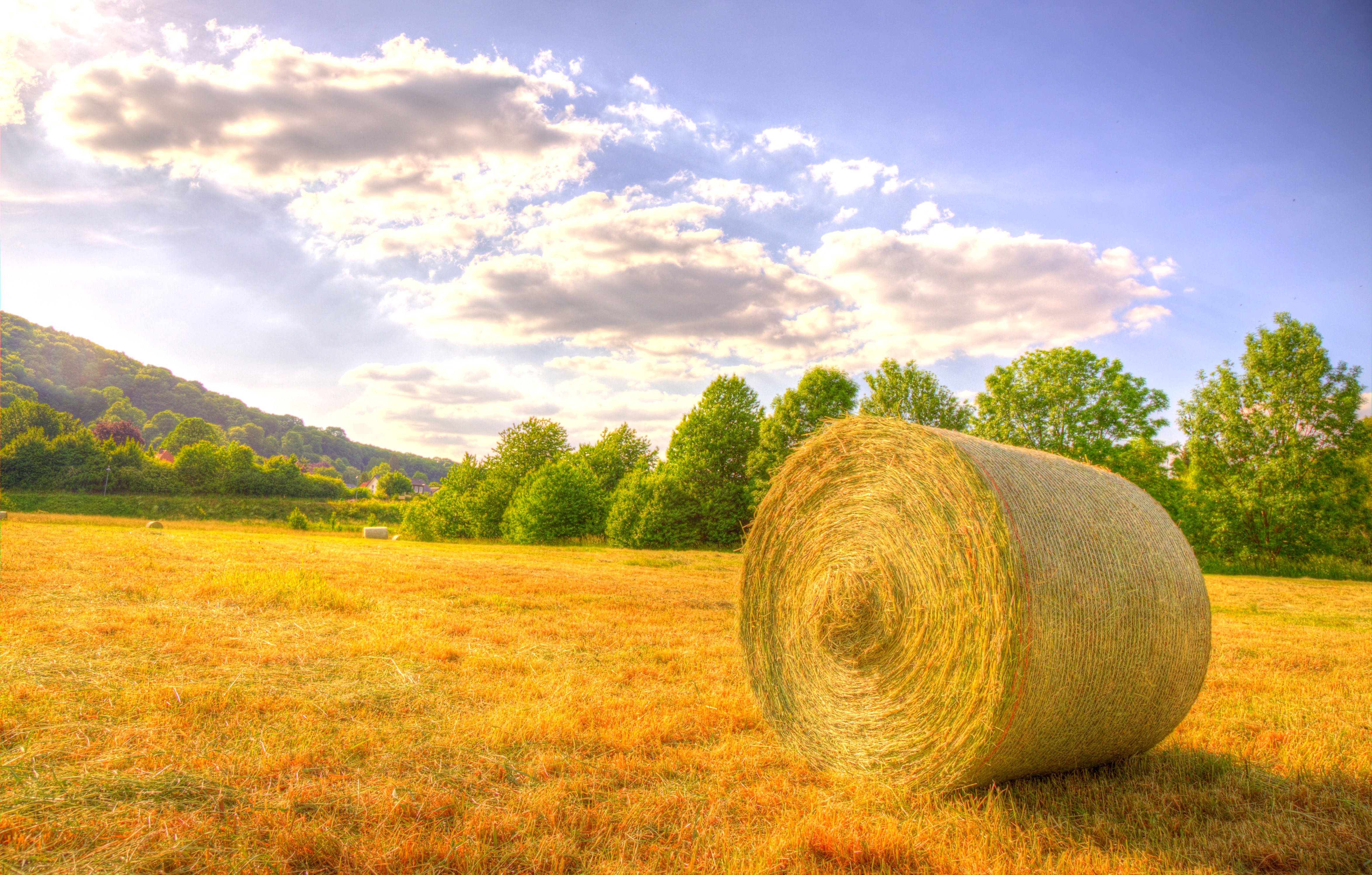 Hay bale in a field with trees and sky HD Wallpaper