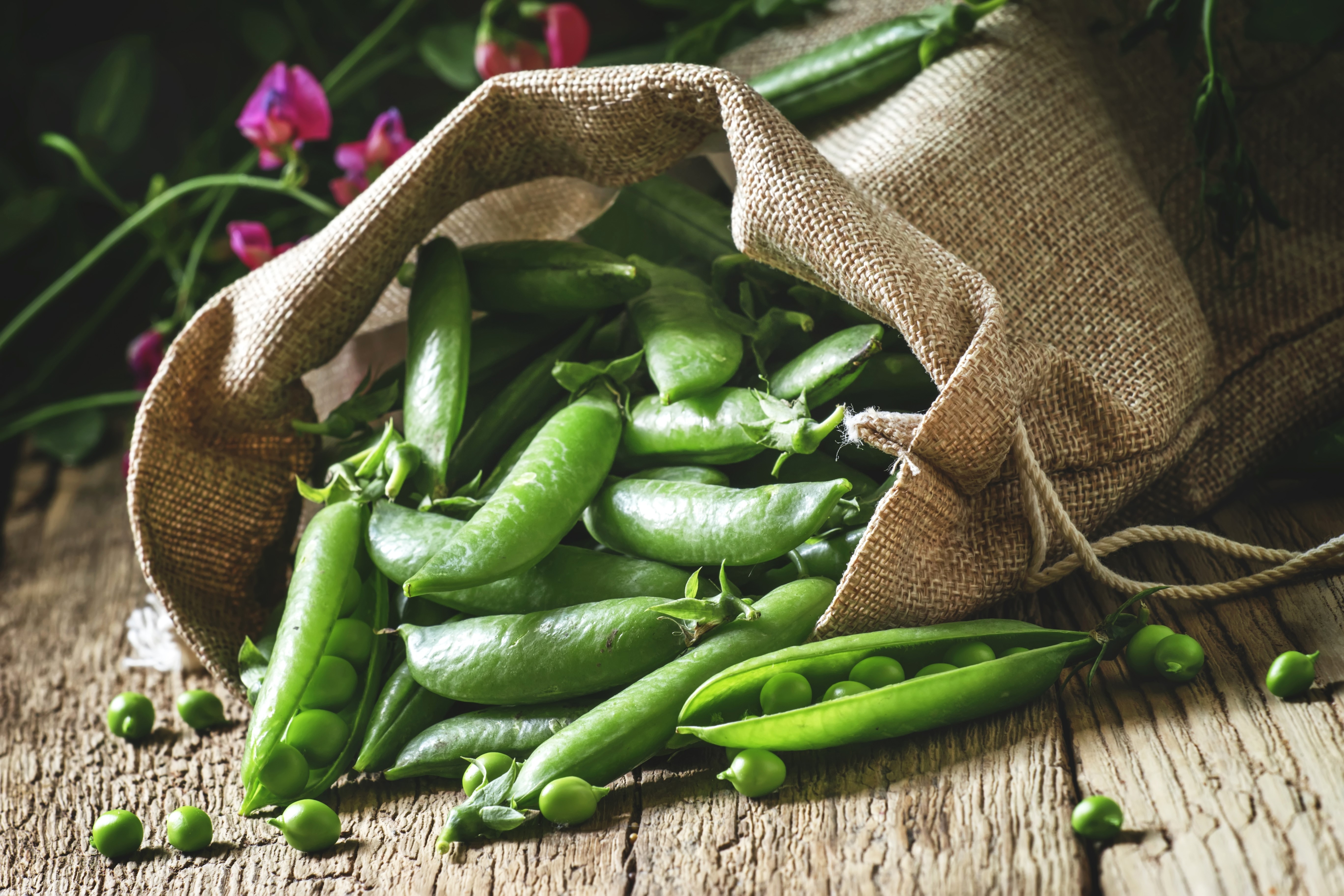 Green peas in a burlap sack HD Wallpaper