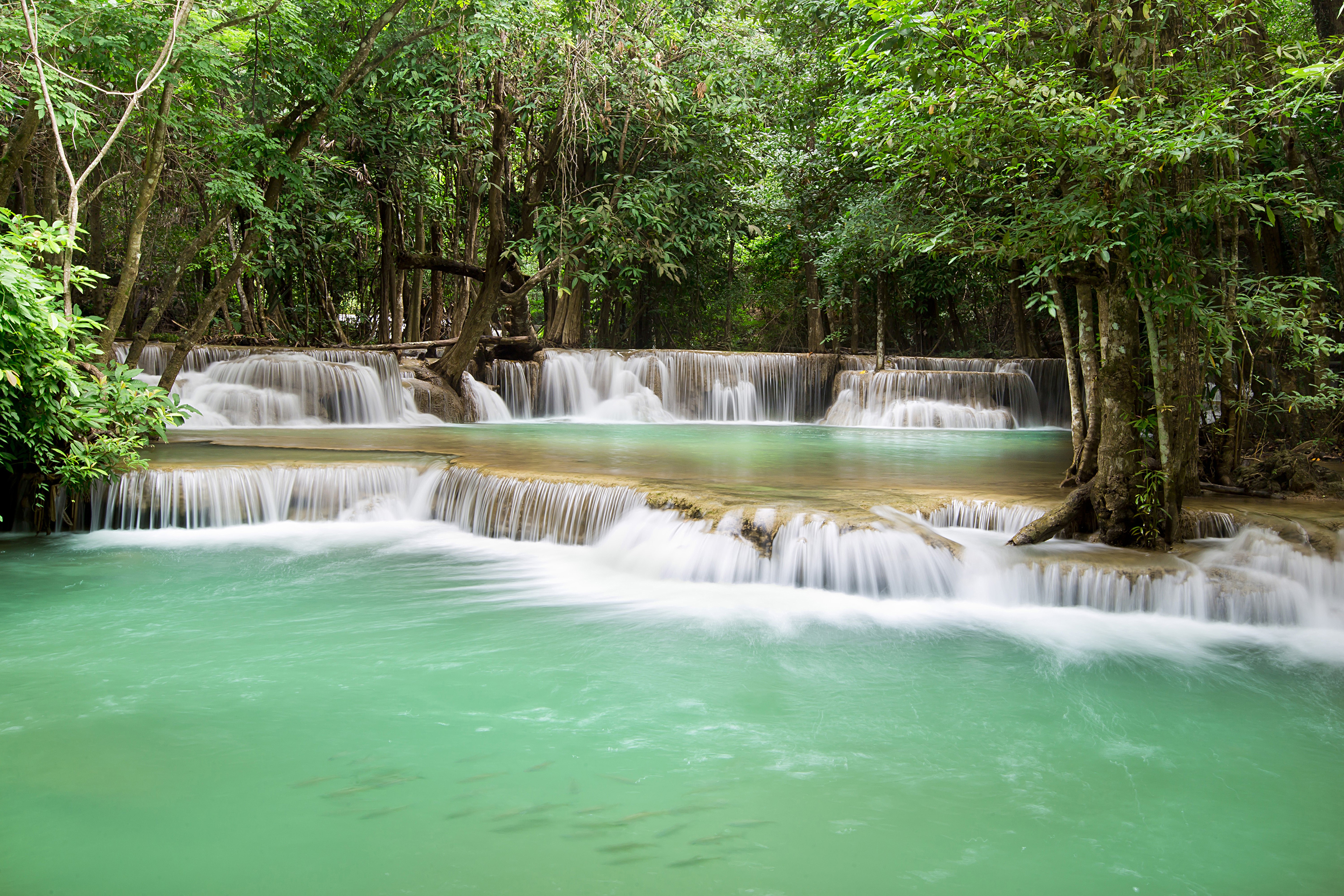Waterfalls in a lush forest in Thailand HD Wallpaper