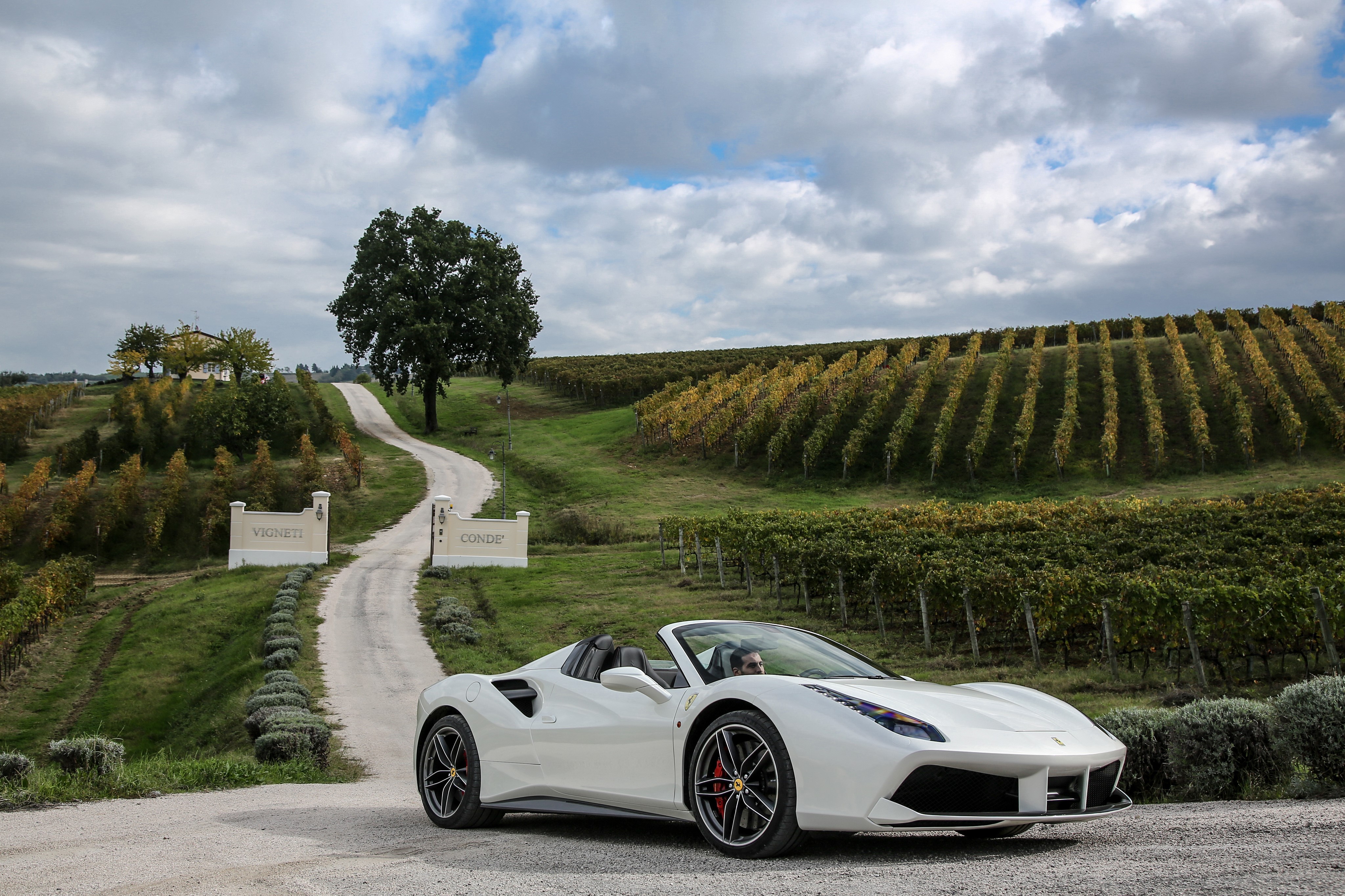White Ferrari 488 Spider convertible in vineyard HD Wallpaper