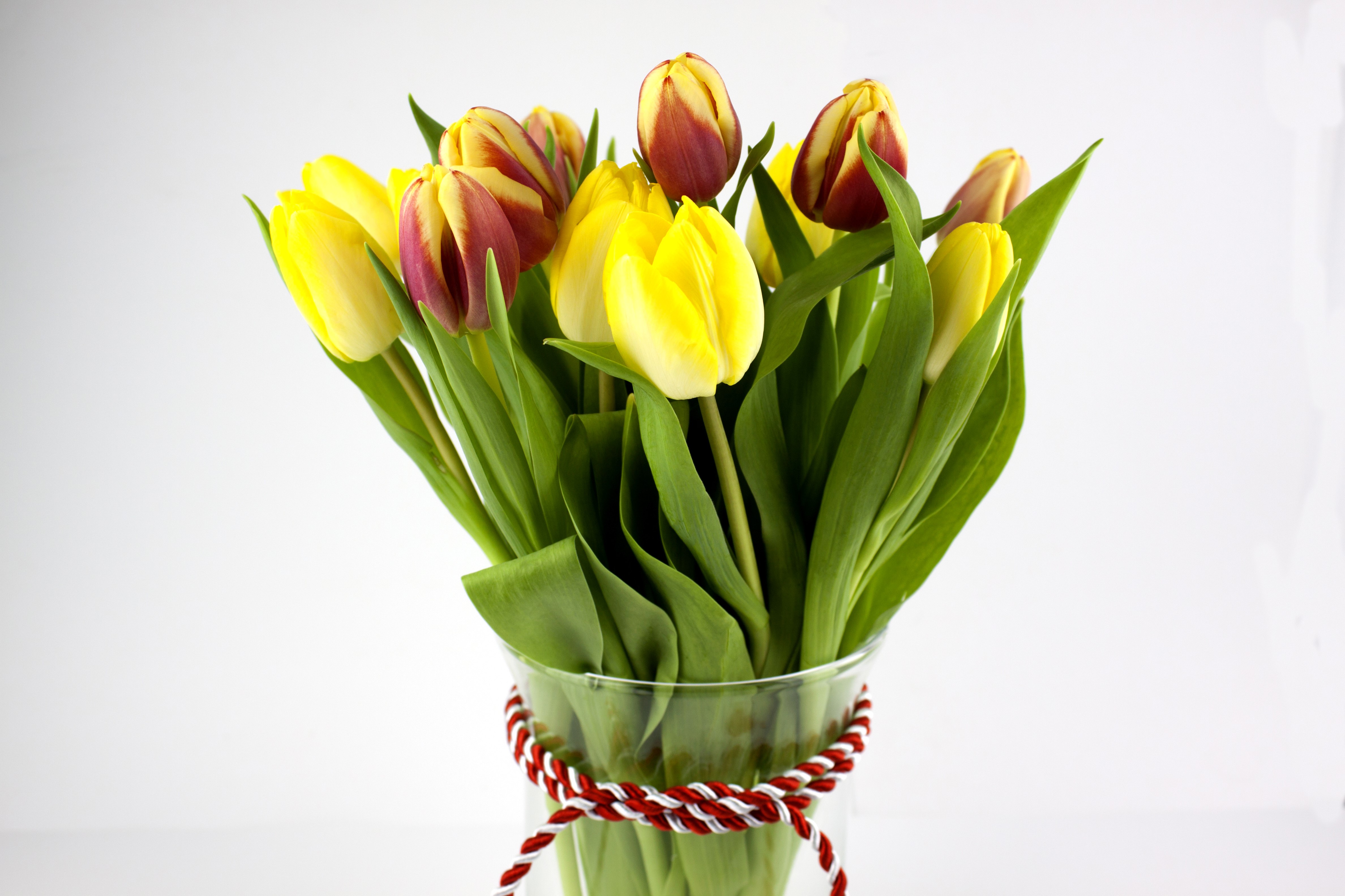 Bouquet of Yellow and Red Tulips in a Vase HD Wallpaper
