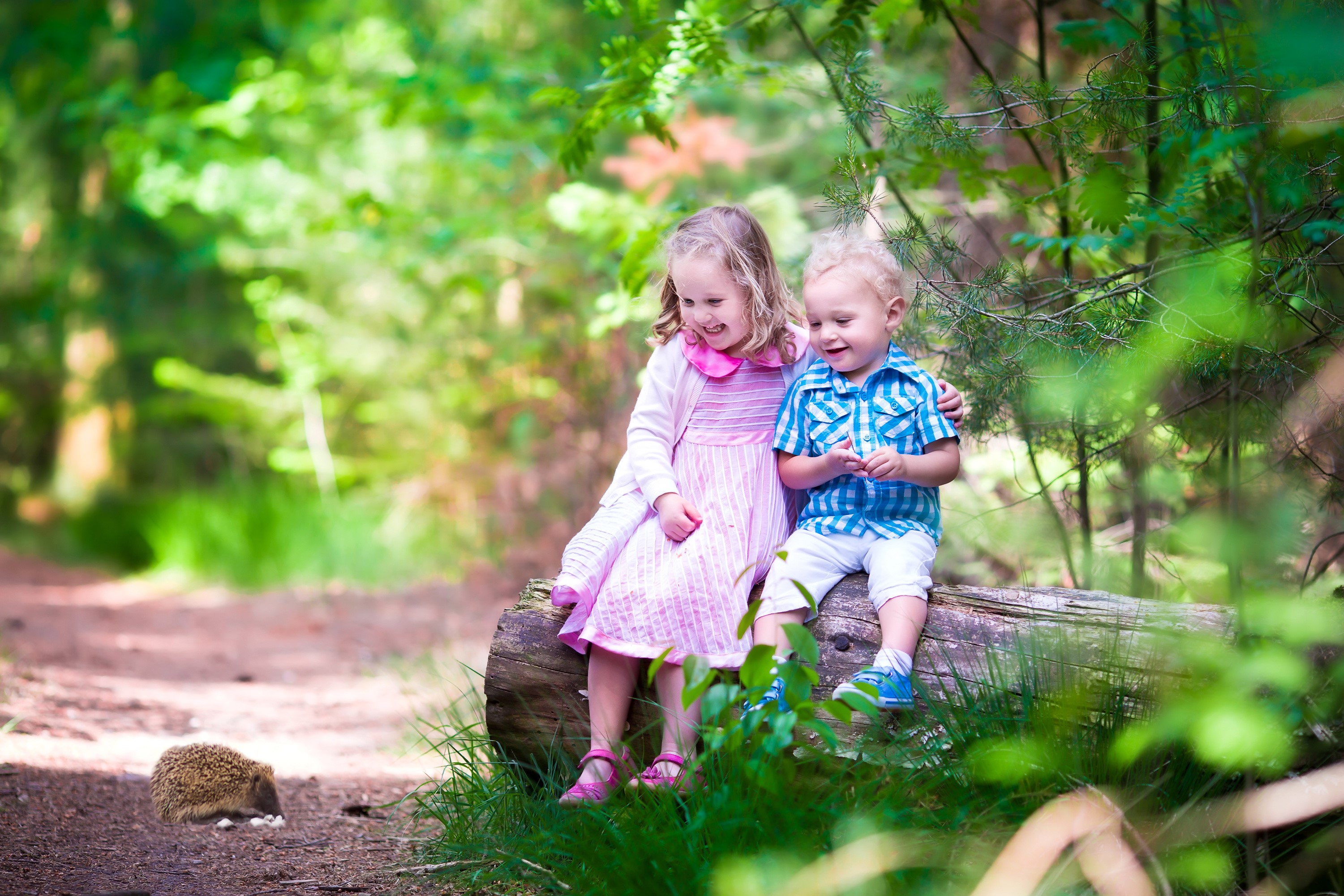 Two children and a hedgehog in a forest HD Wallpaper