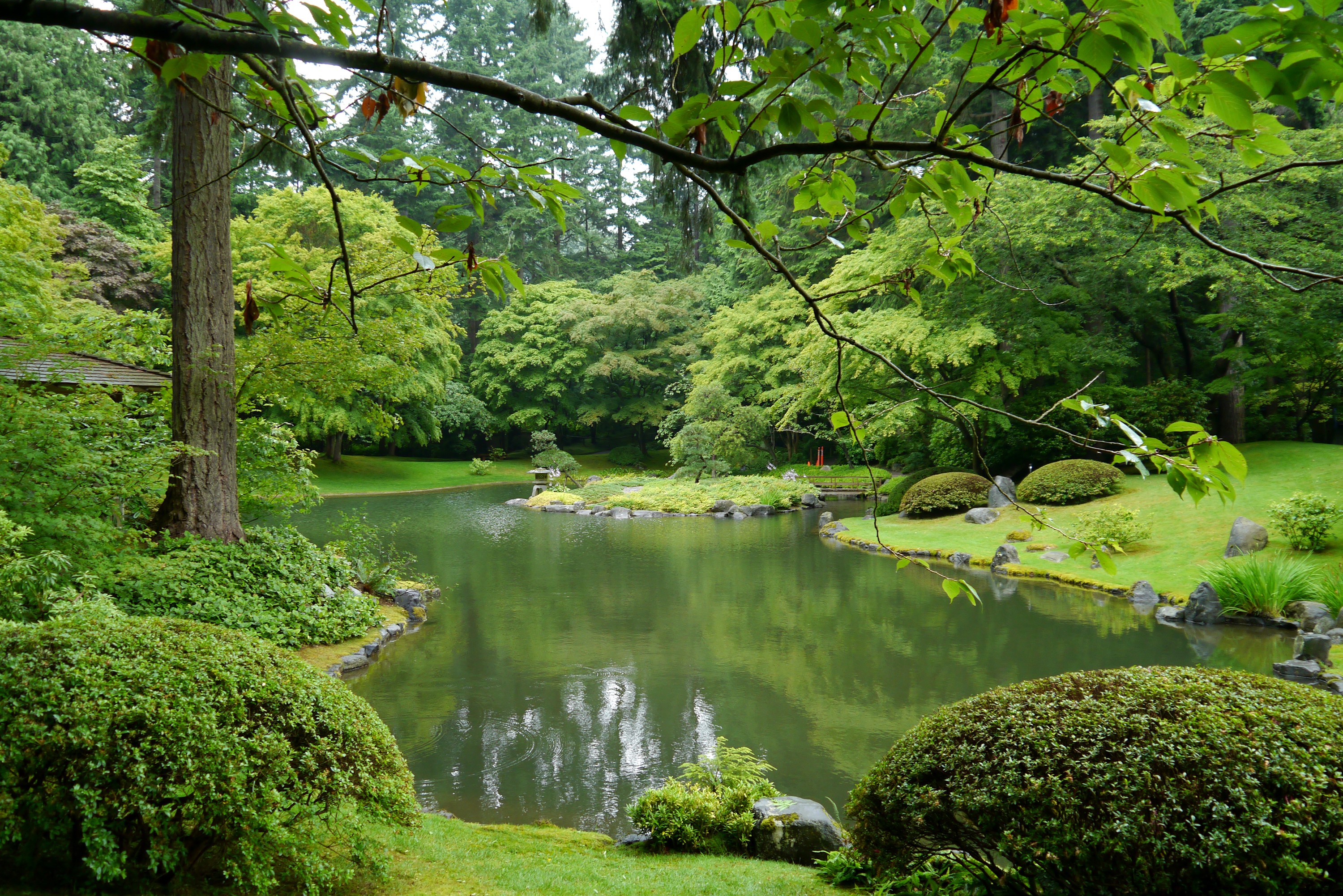 Japanese Garden with Pond and Lush Greenery HD Wallpaper