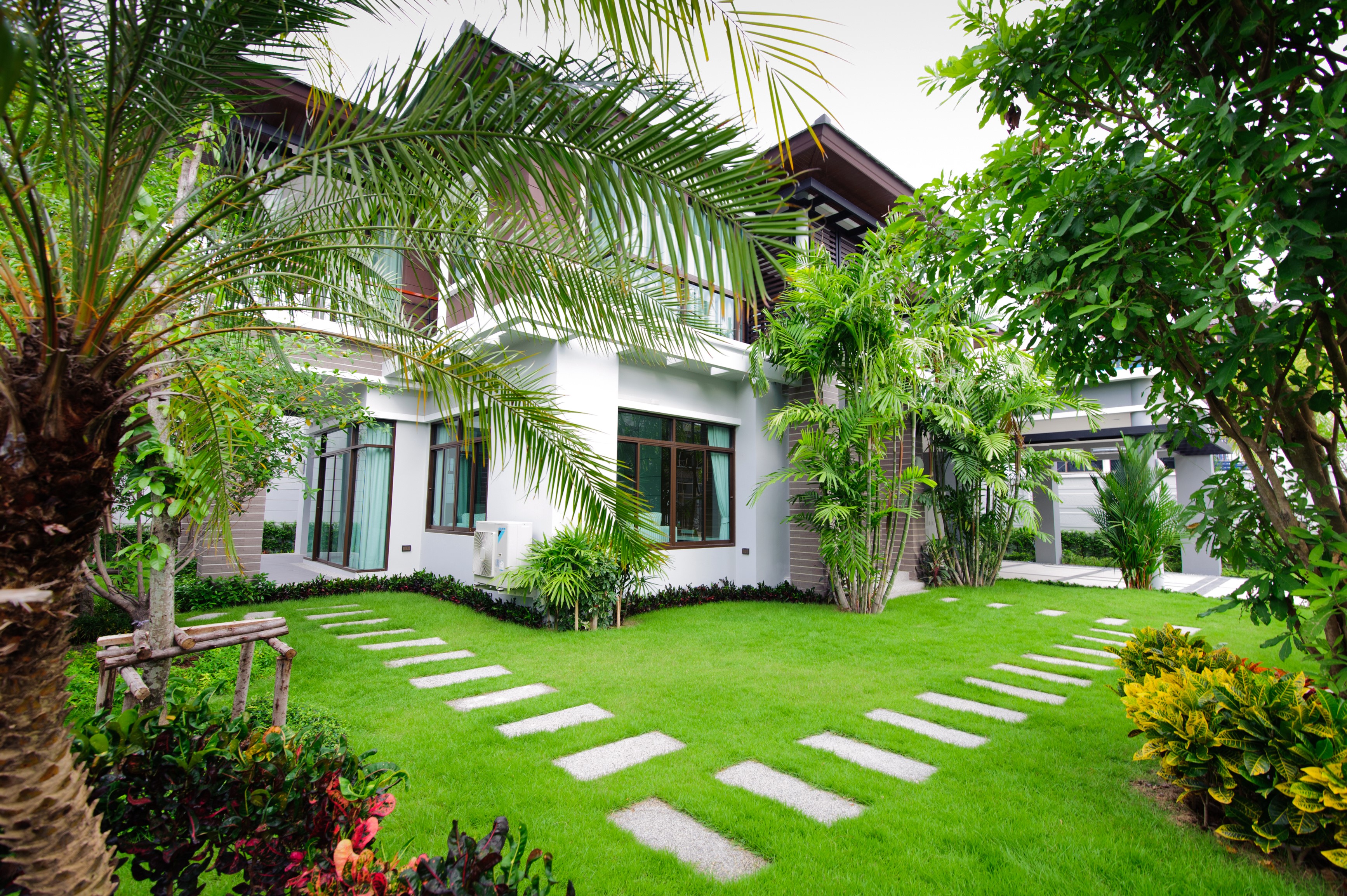 Modern house with a manicured lawn and palm trees HD Wallpaper