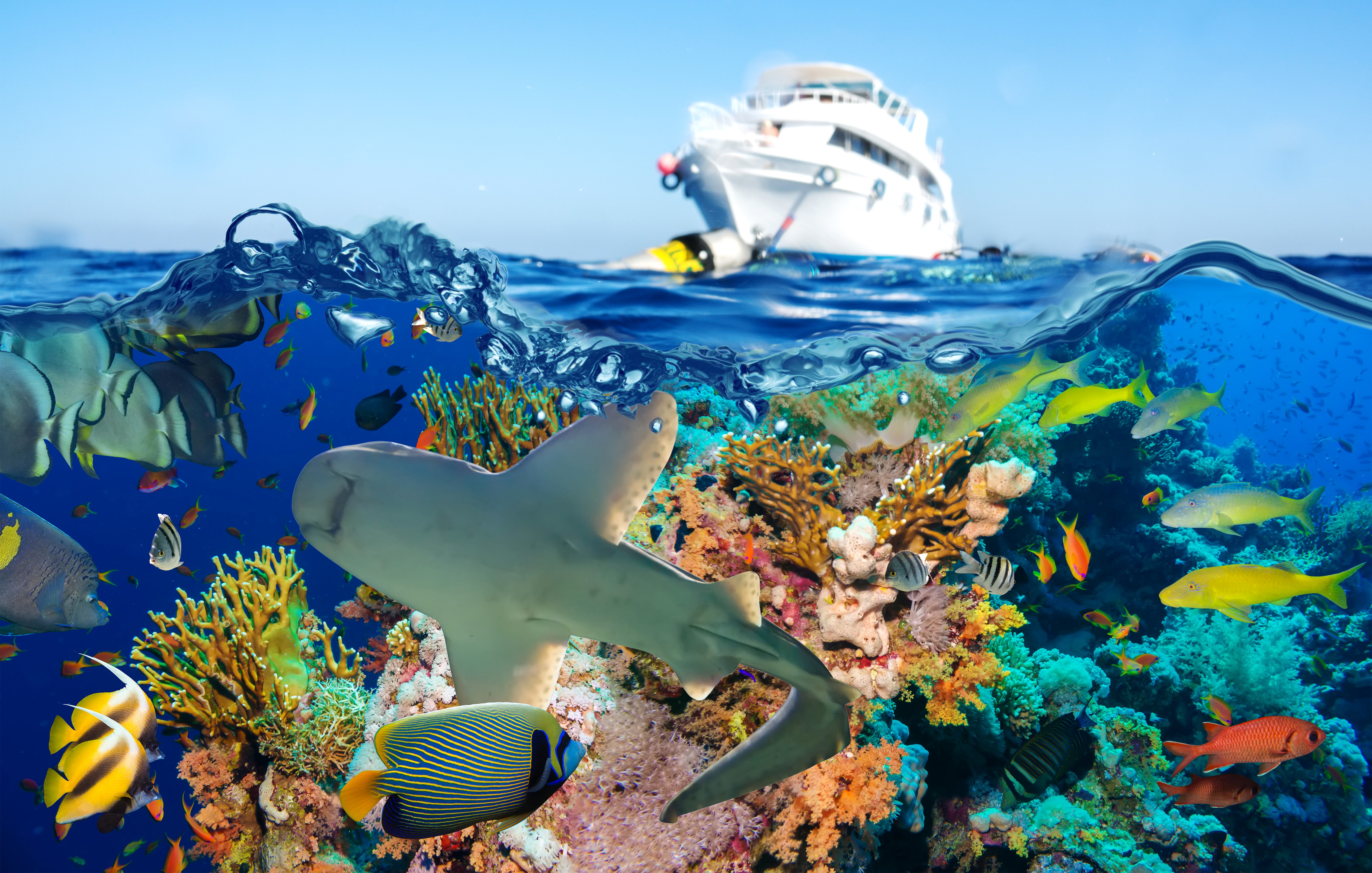 Underwater coral reef with fish and a boat HD Wallpaper