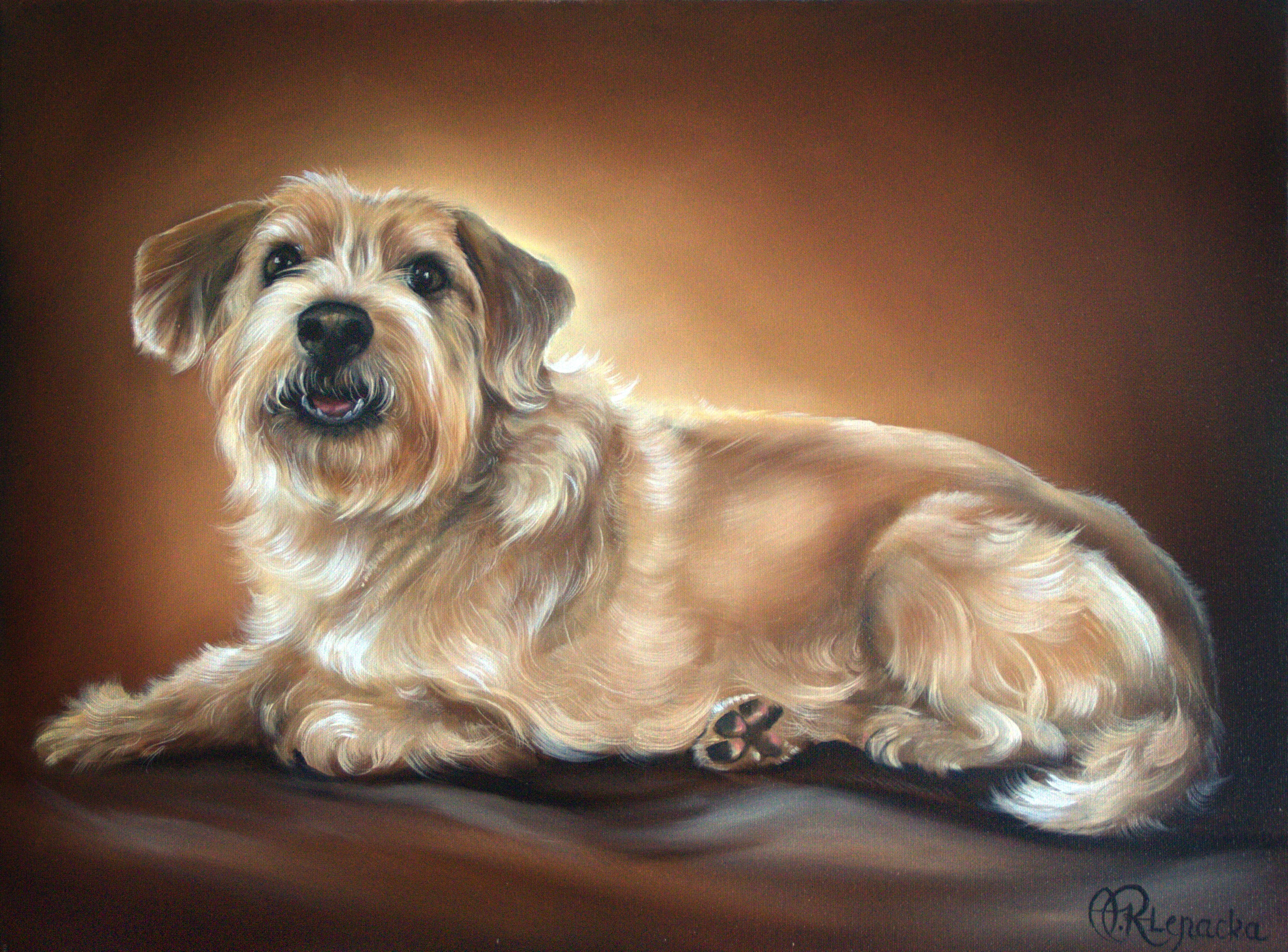 Painting of a scruffy terrier dog lying down HD Wallpaper