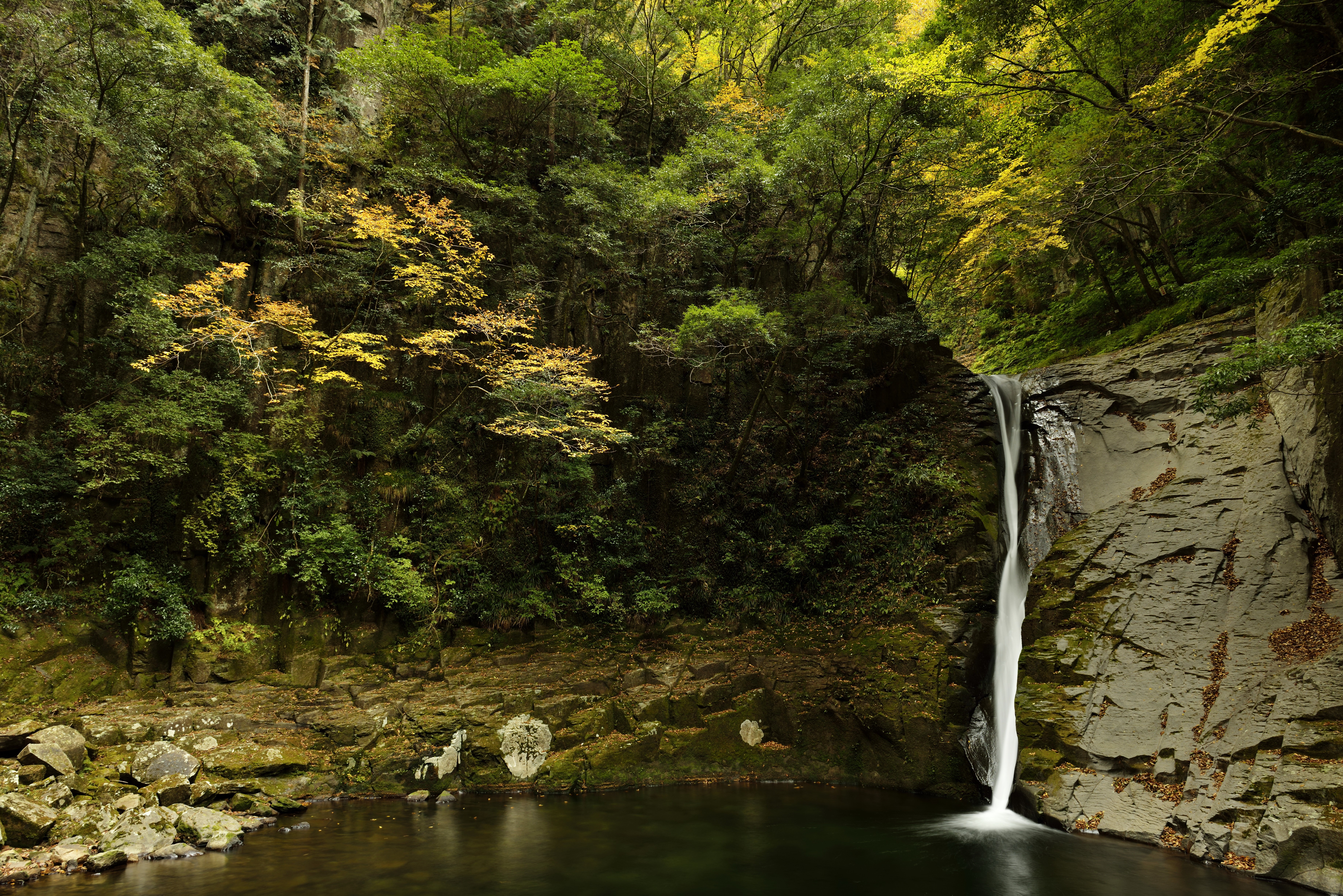 Waterfall cascading down a rocky cliff in a forest HD Wallpaper