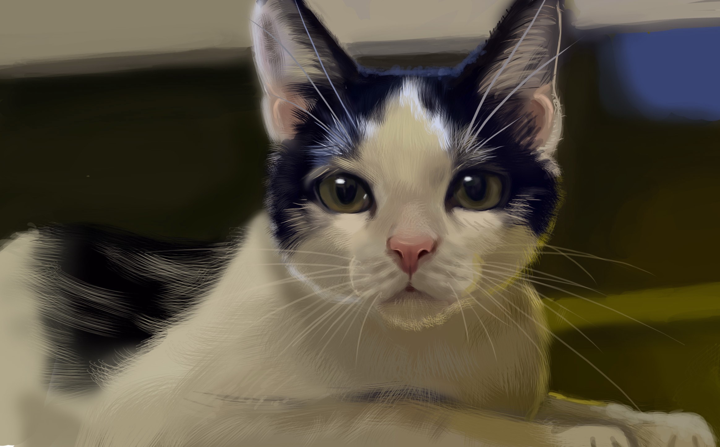 Painting of a black and white cat looking forward HD Wallpaper