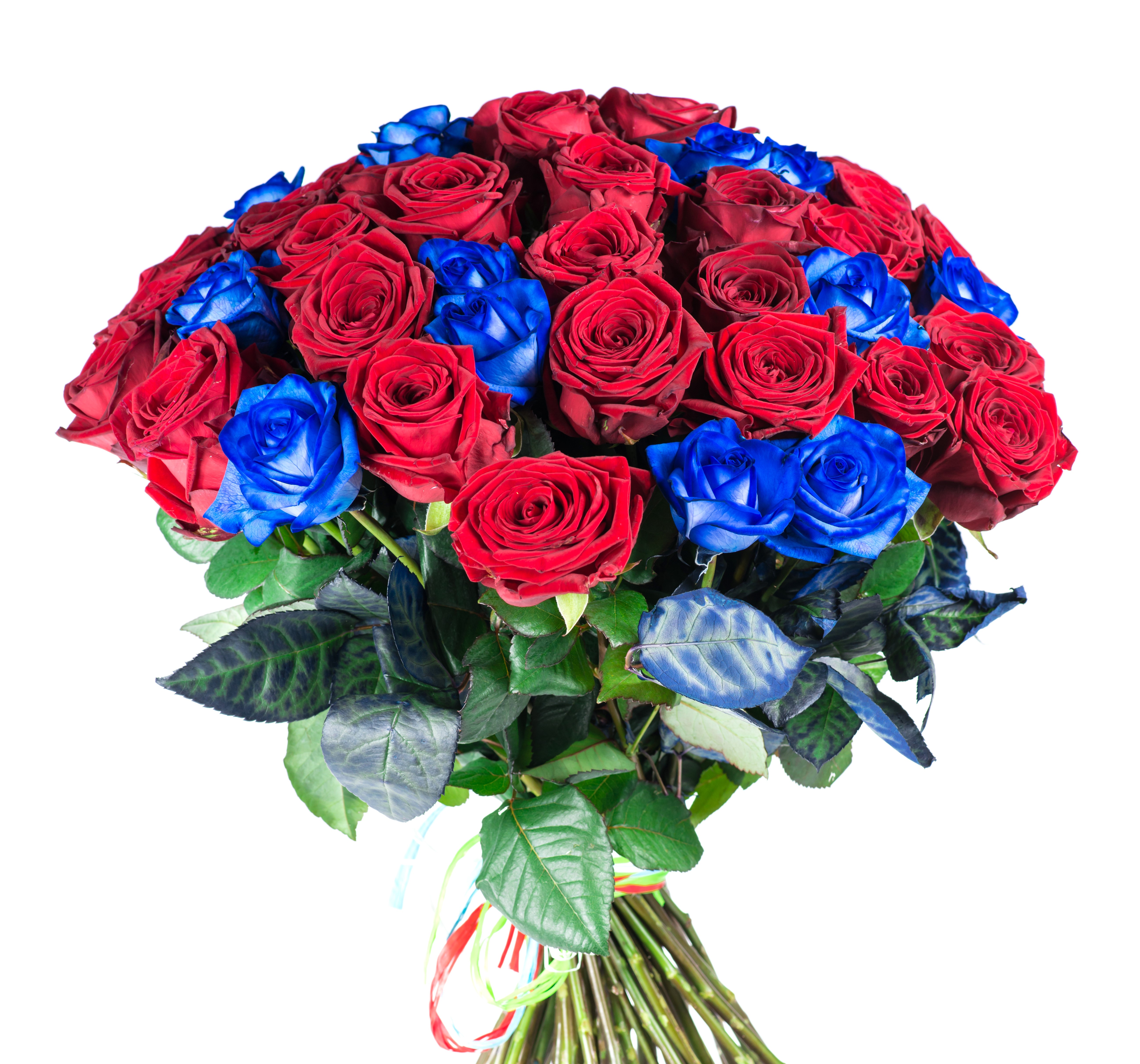Bouquet of Red and Blue Roses HD Wallpaper