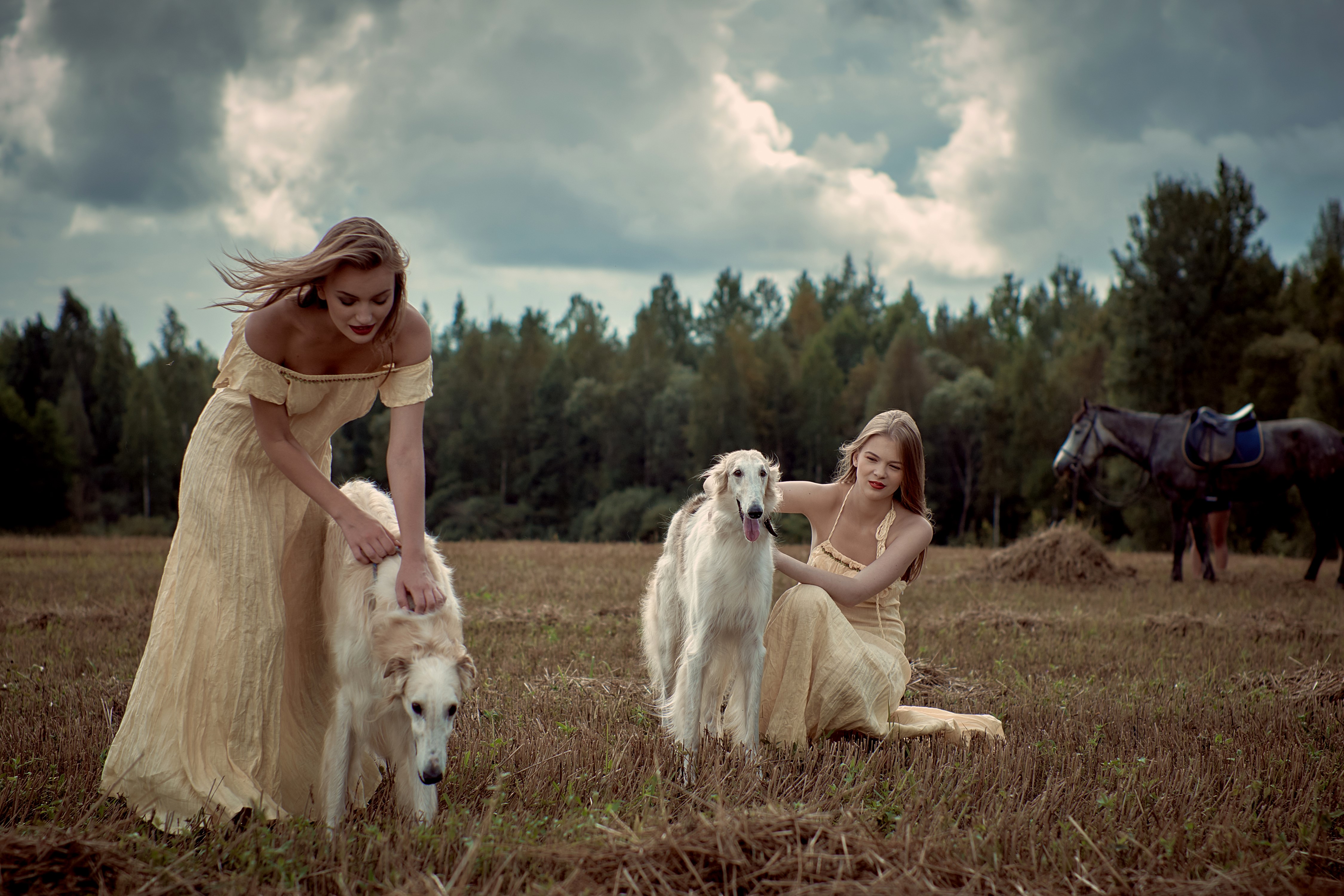 Two women with sighthounds in a field HD Wallpaper