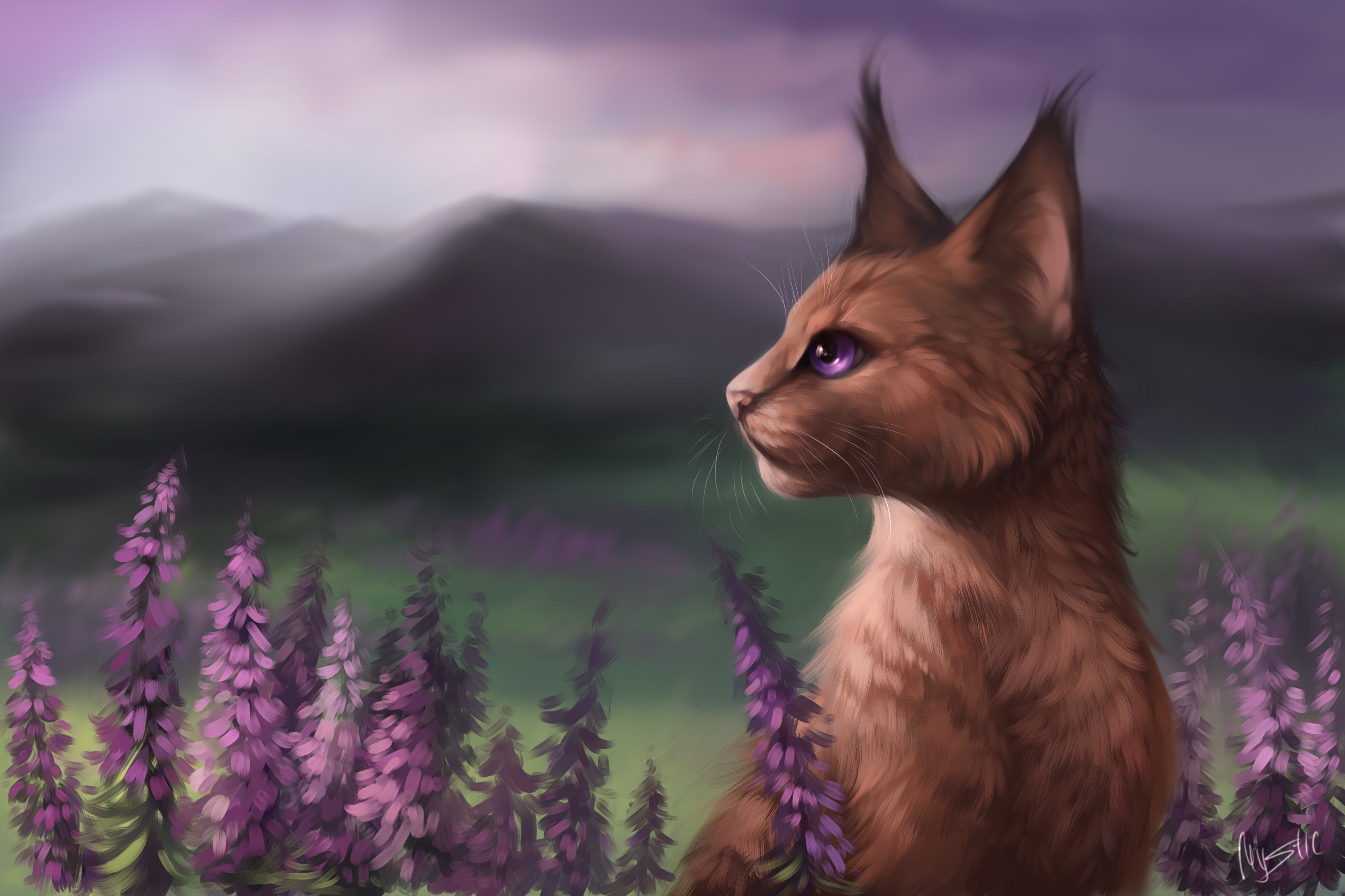 Cat with purple eyes in a field of purple flowers HD Wallpaper