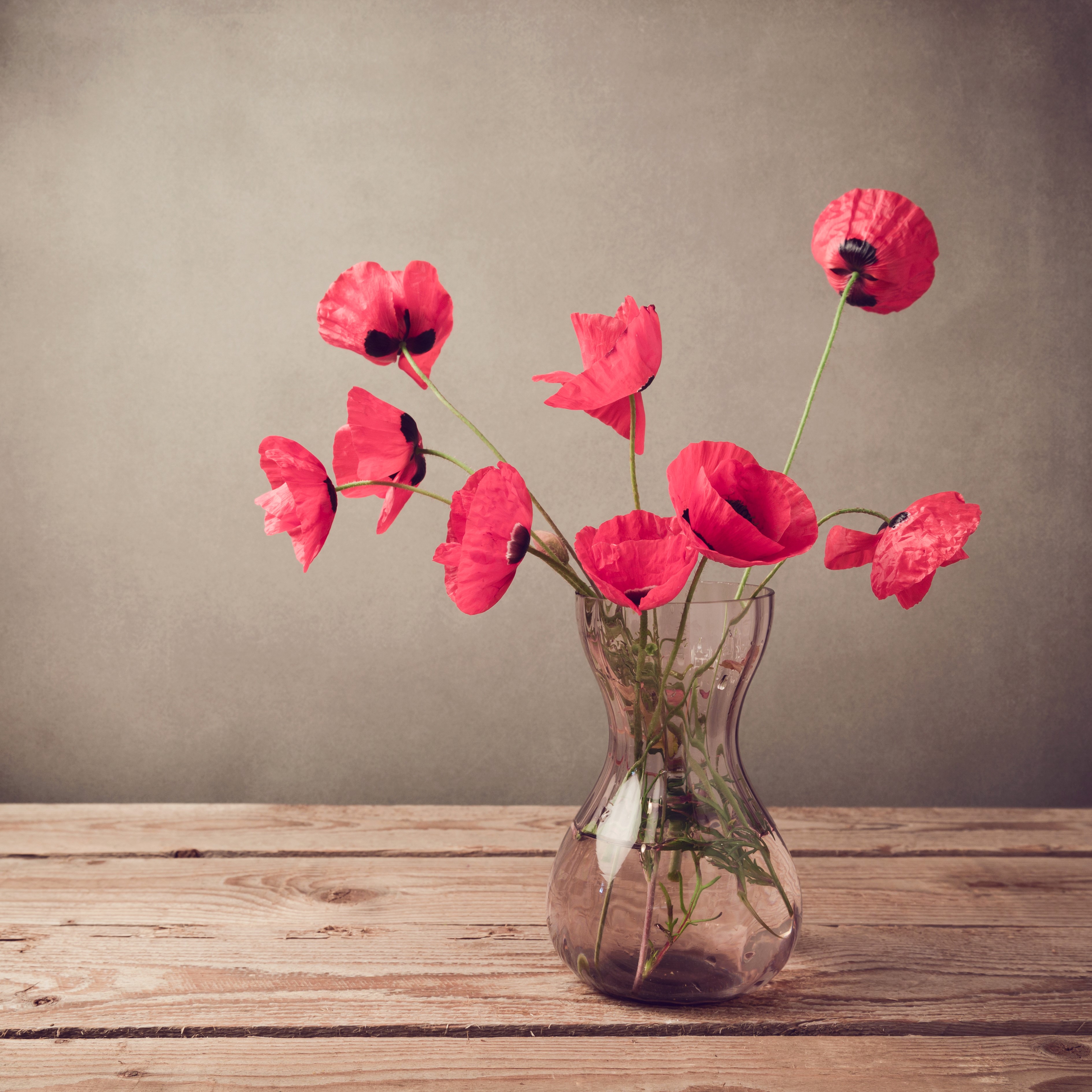 Red Poppies in a Glass Vase on a Wooden Table HD Wallpaper