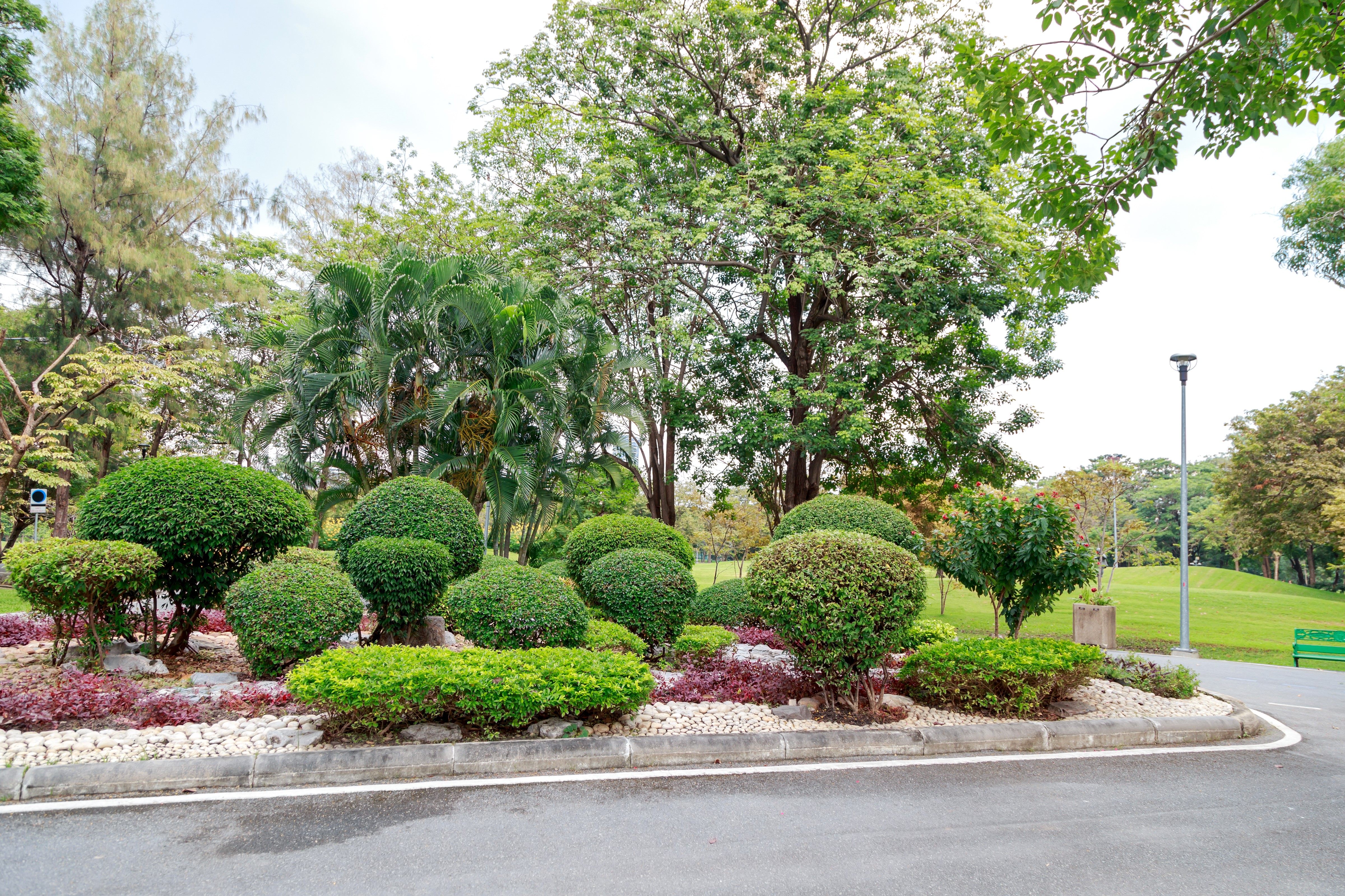 Park with manicured shrubs and trees in Thailand HD Wallpaper