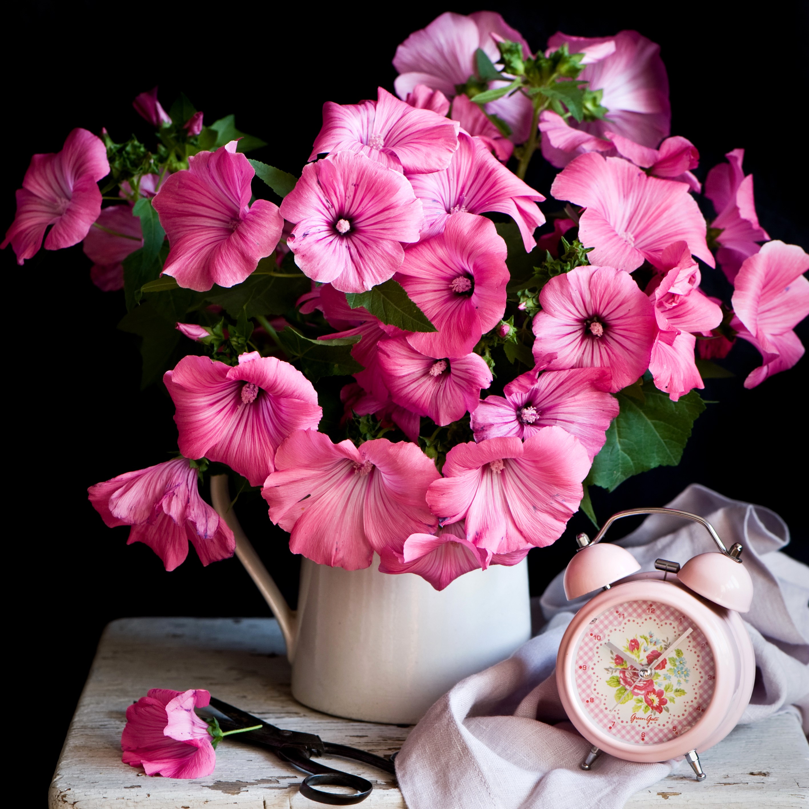 Still-life with pink Malva flowers and alarm clock HD Wallpaper