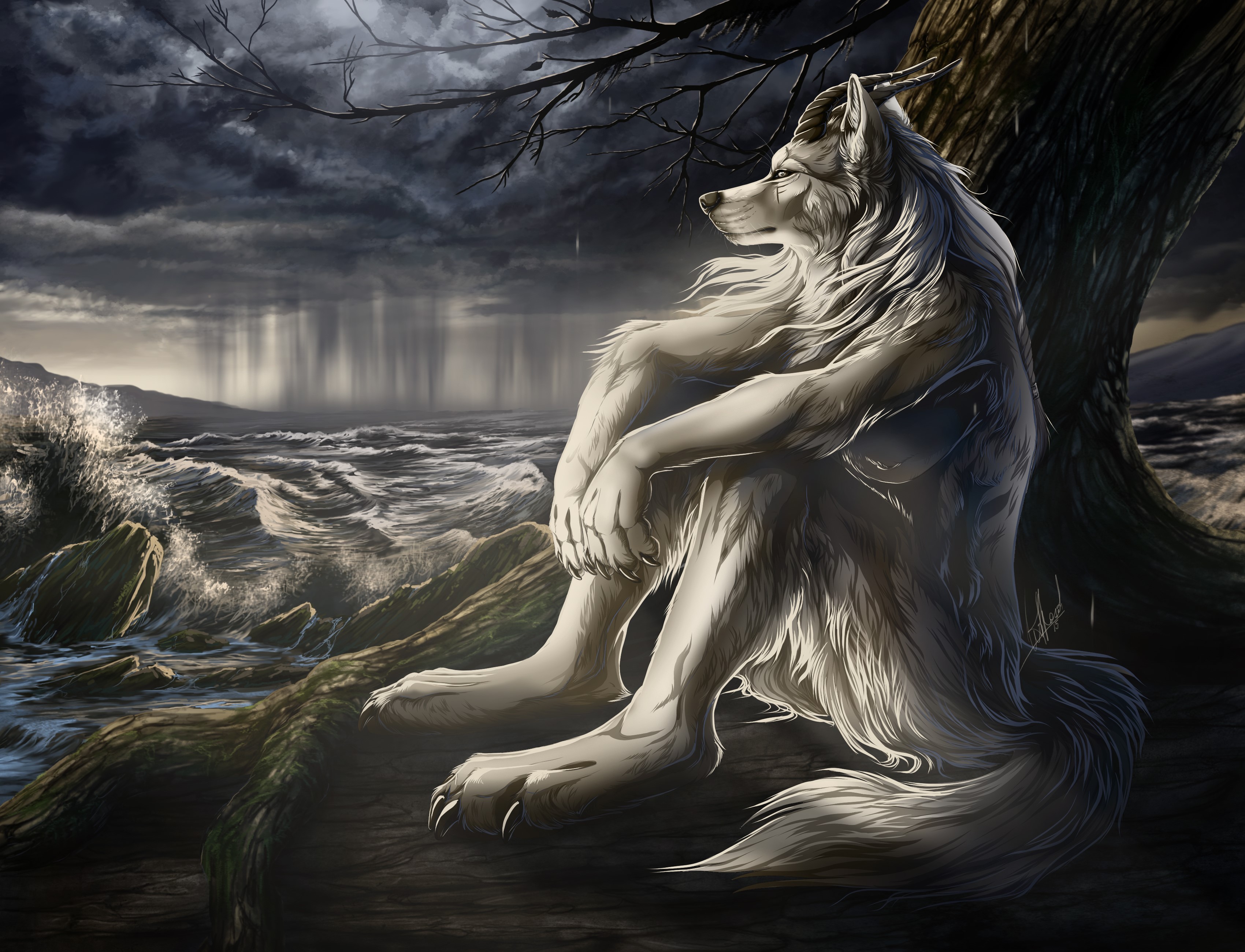Reflective Wolf by Stormy Sea HD Wallpaper