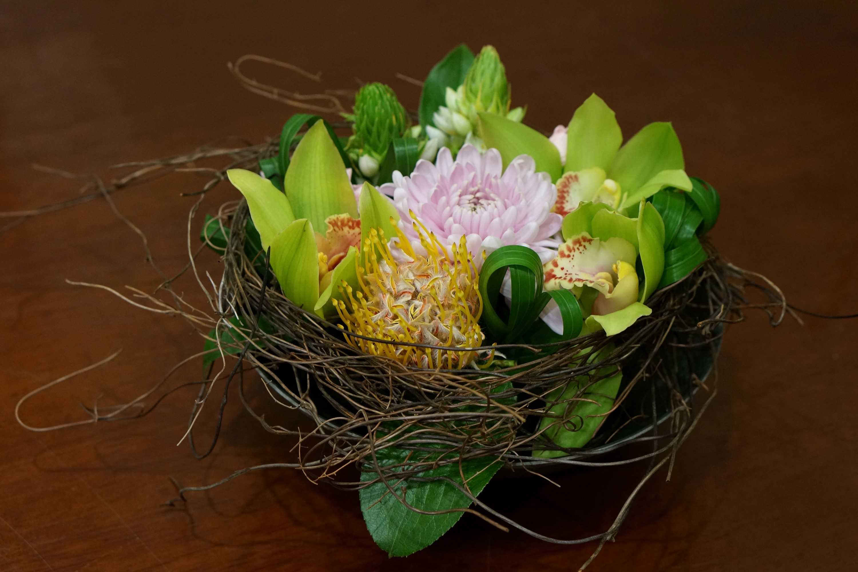 Floral arrangement in a nest with orchids and chrysanthemums HD Wallpaper