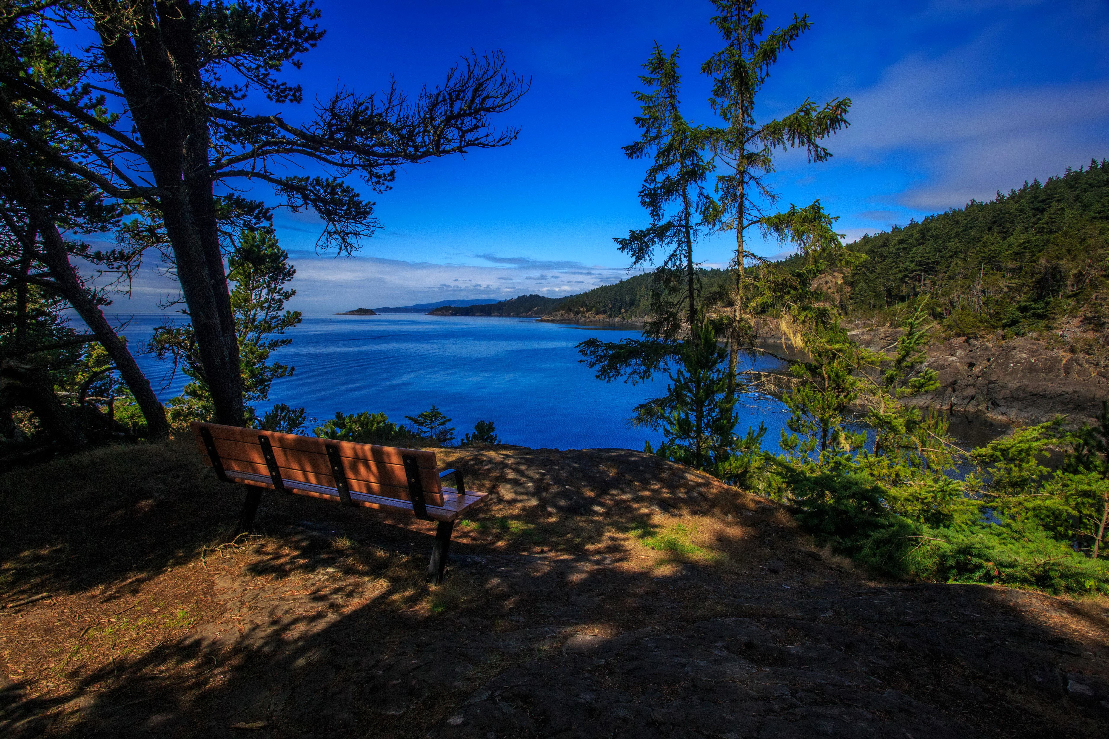 Bench overlooking a blue ocean and forested coastline HD Wallpaper