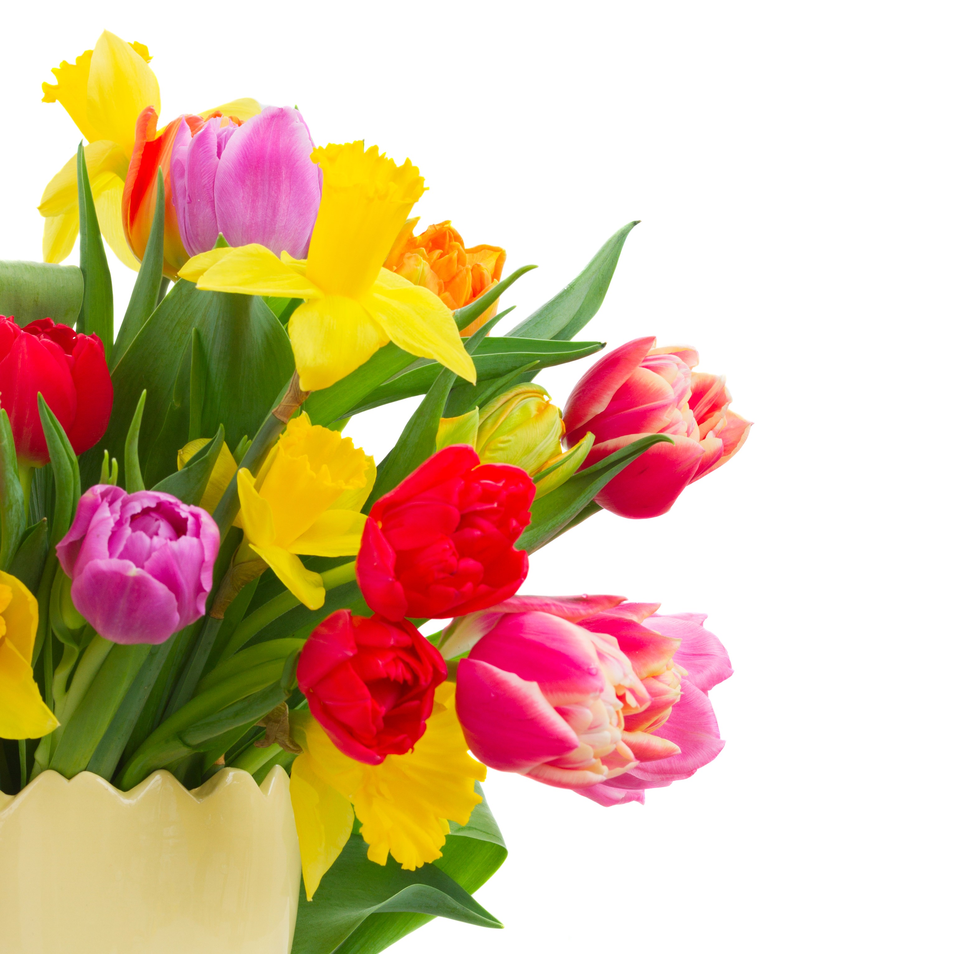 Bouquet of Tulips and Daffodils in a Yellow Vase HD Wallpaper