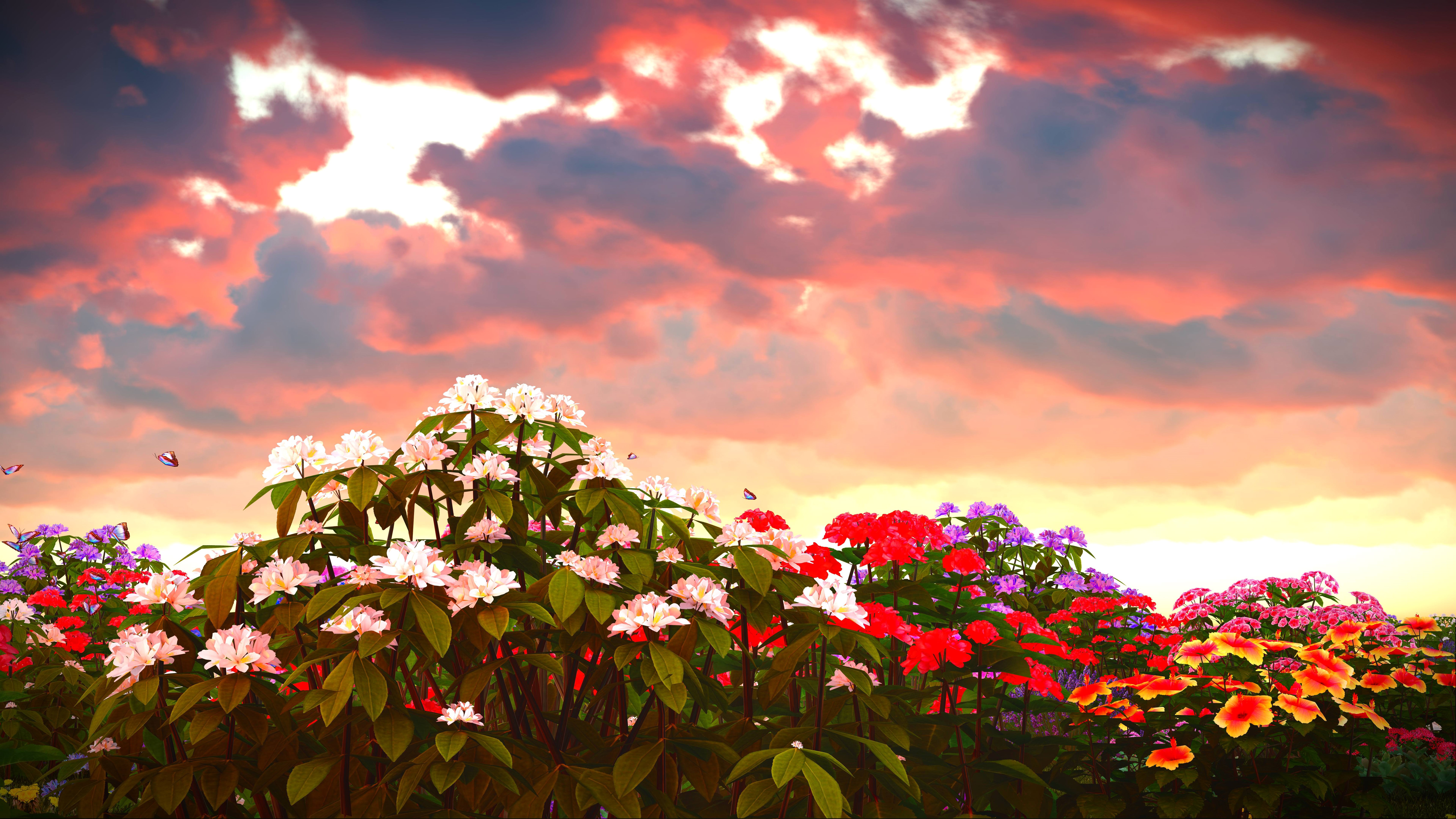 Colorful flowers and clouds at sunset HD Wallpaper