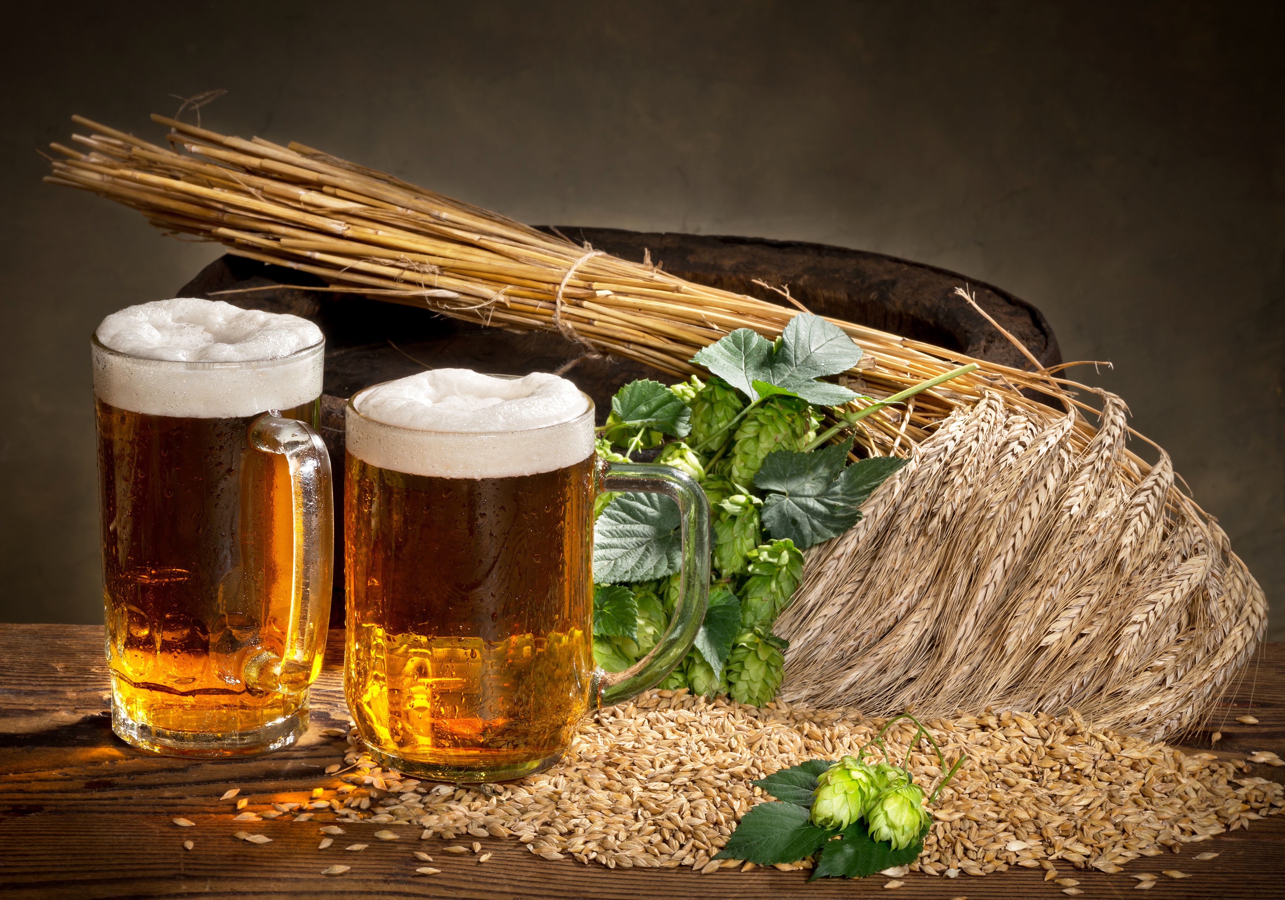 Two Mugs of Beer with Wheat and Hops HD Wallpaper
