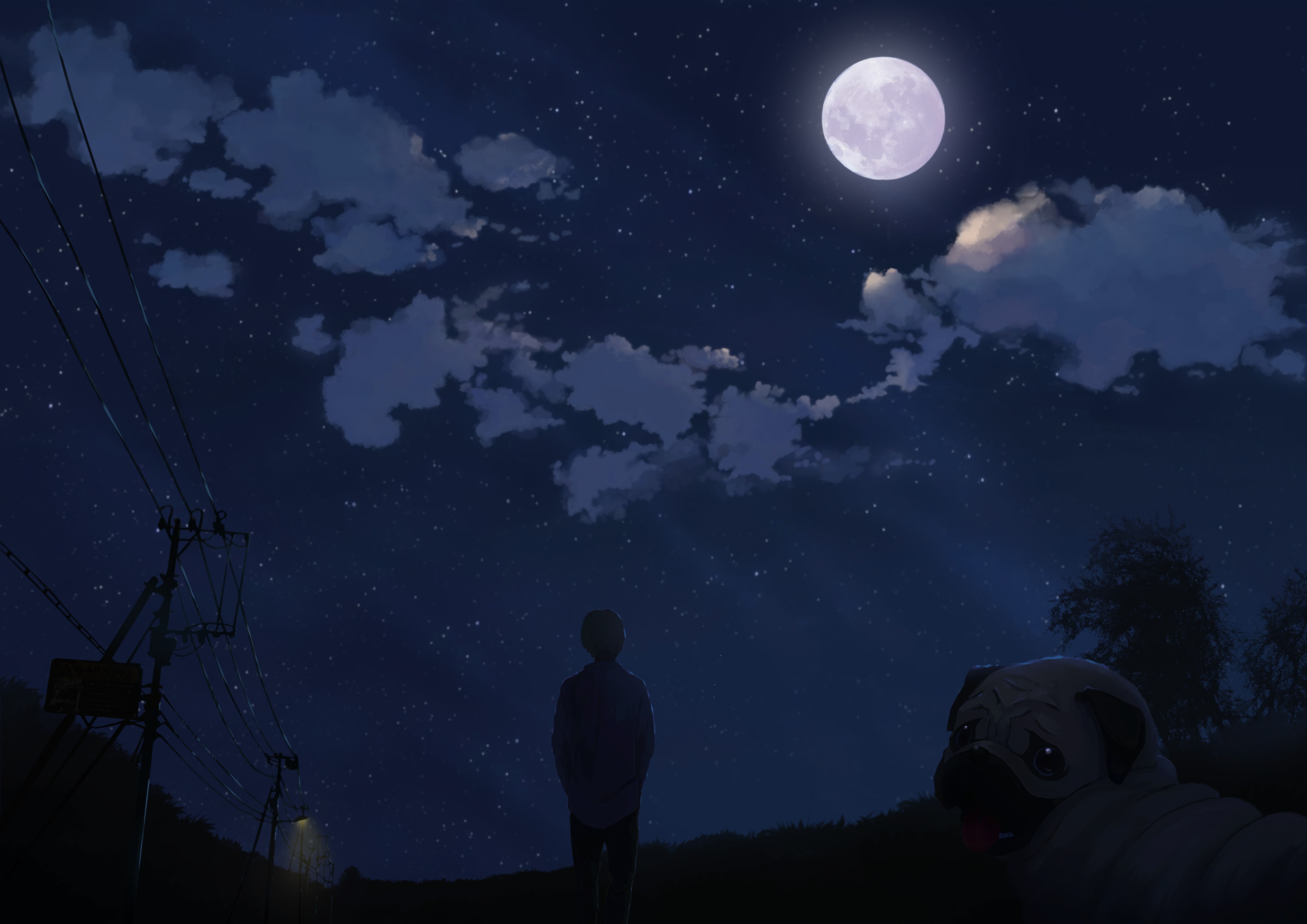 Night Sky with Moon, Stars, Person, and Pug HD Wallpaper